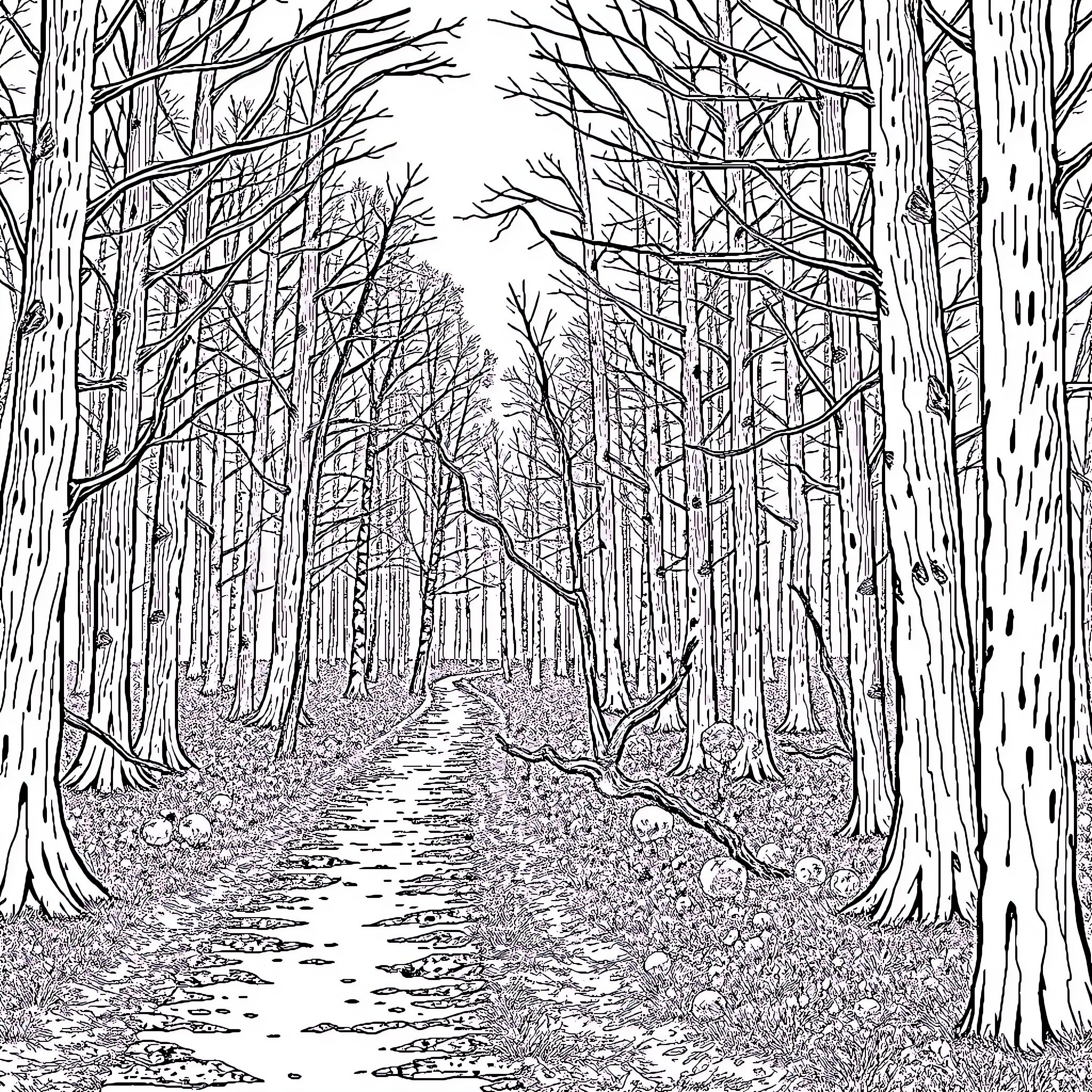 Path through the winding forest Coloring Page (free black-and-white line drawing printable PDF for all, from beginners to advanced learners, including children, teens, adults, and seniors)