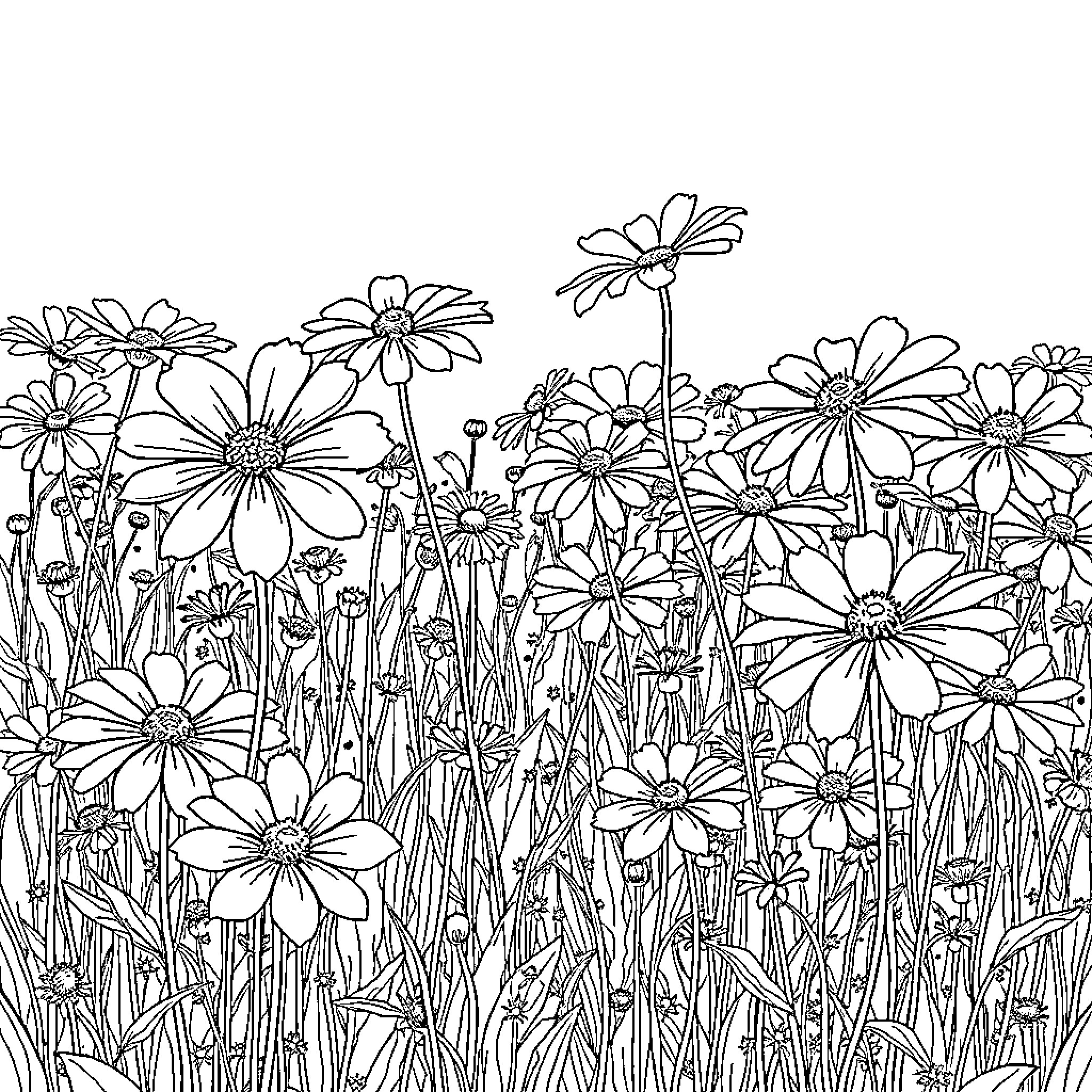 Cosmos of whimsical floral wonders Coloring Page (free black-and-white line drawing printable PDF for all, from beginners to advanced learners, including children, teens, adults, and seniors)