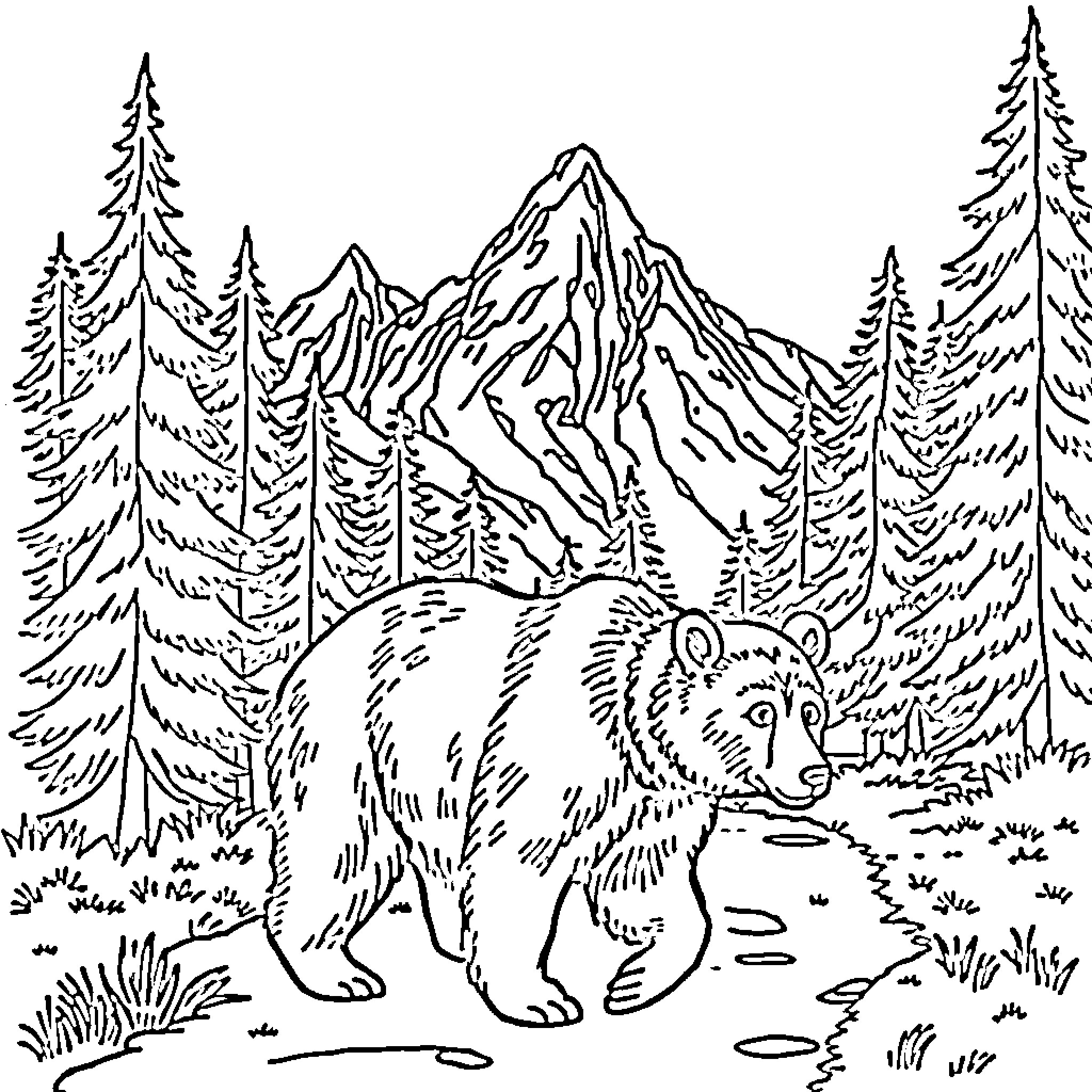 Bear exploring majestic mountain landscape Coloring Page (free black-and-white line drawing printable PDF for all, from beginners to advanced learners, including children, teens, adults, and seniors)