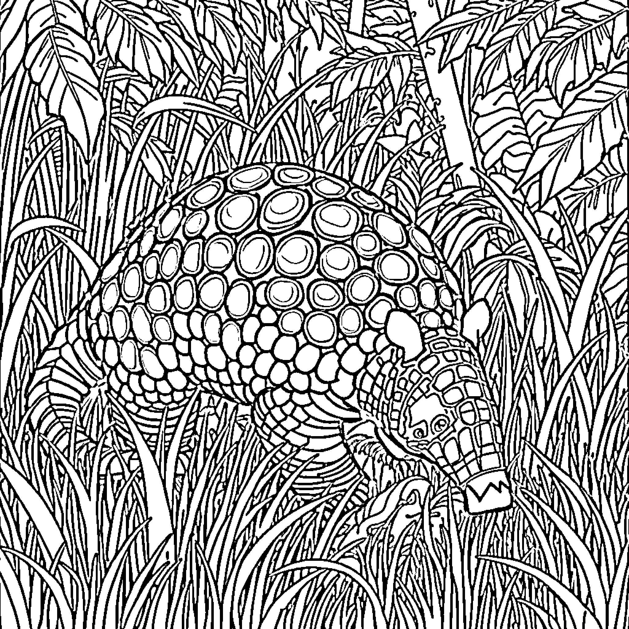 Armadillo peering through tropical foliage Coloring Page (free black-and-white line drawing printable PDF for all, from beginners to advanced learners, including children, teens, adults, and seniors)