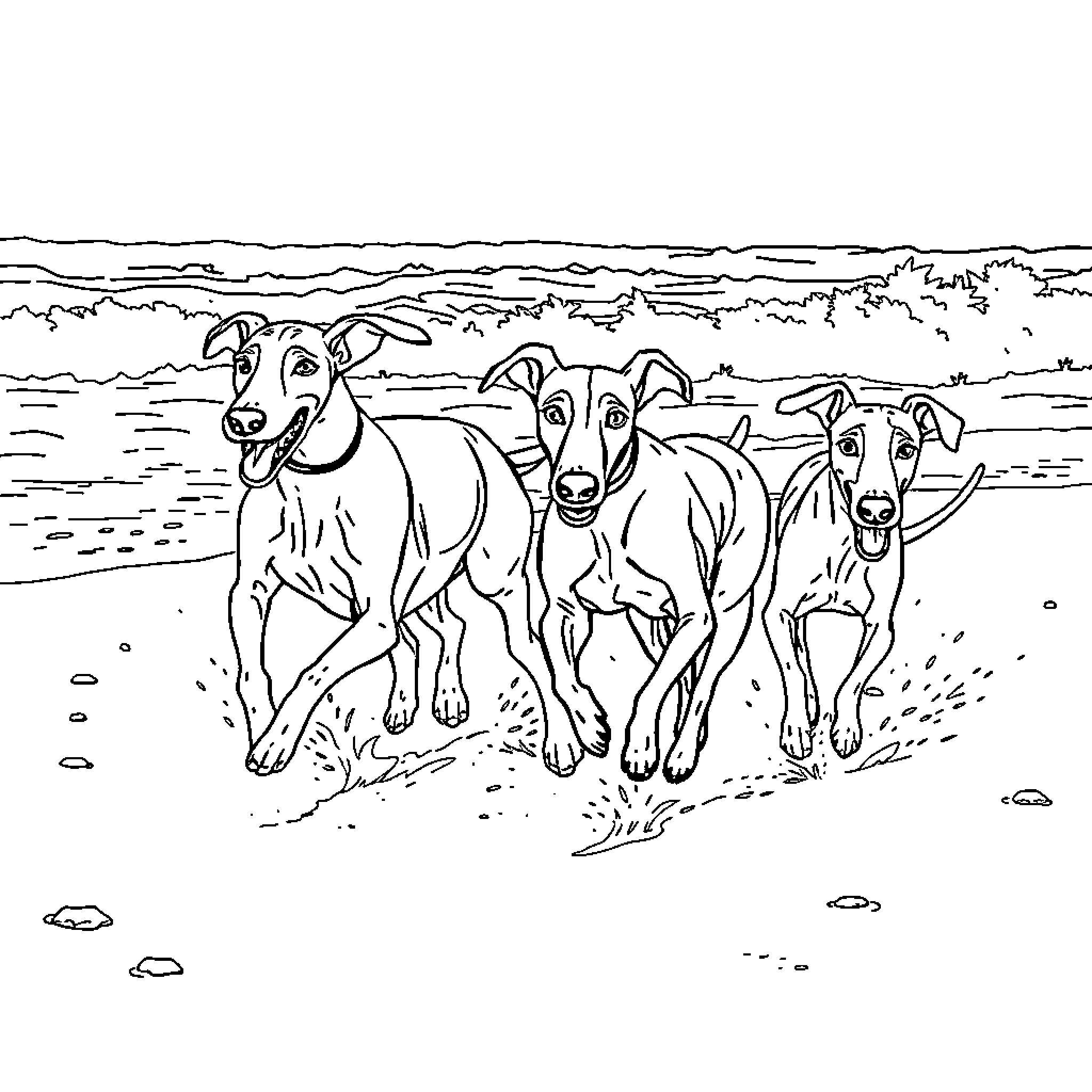 Whippets racing joyfully on the beach Coloring Page (free black-and-white line drawing printable PDF for all, from beginners to advanced learners, including children, teens, adults, and seniors)