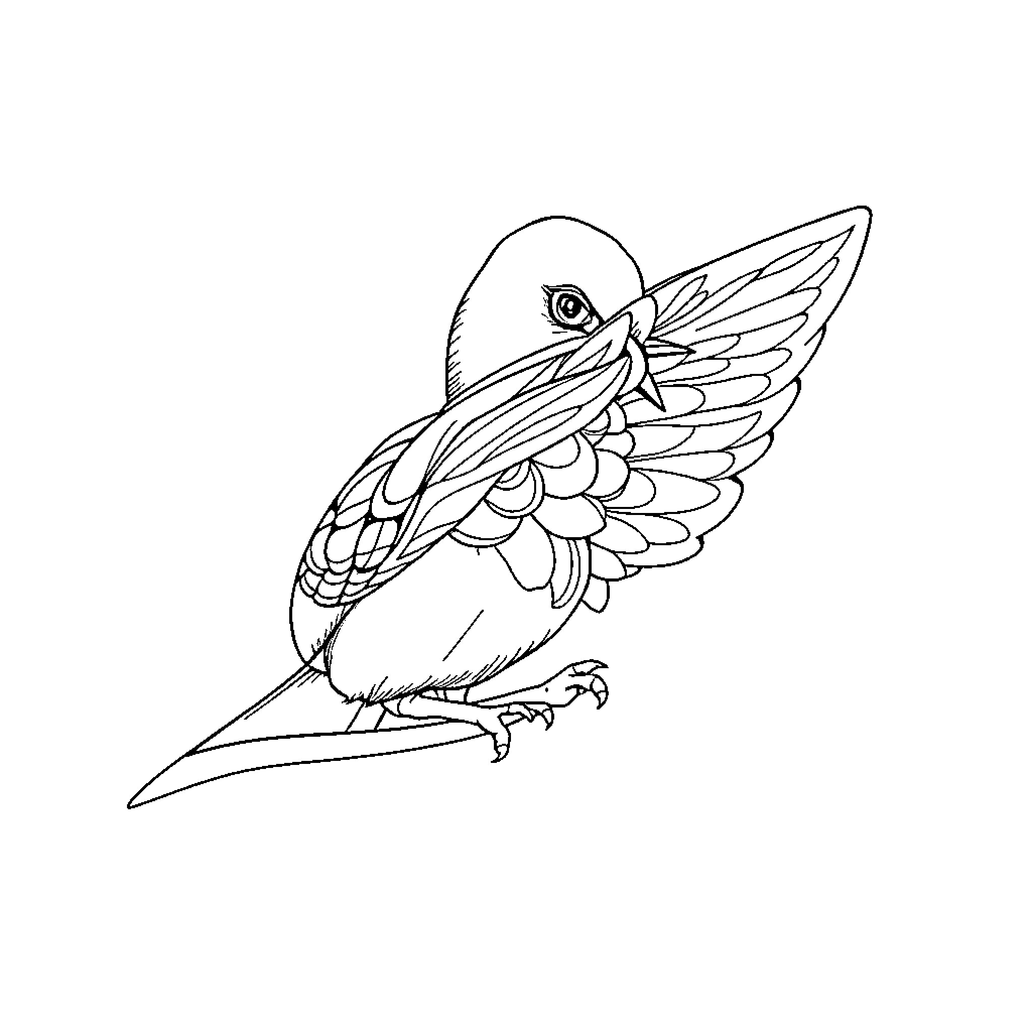 Winter bird with elaborate feather patterns Coloring Page (free black-and-white line drawing printable PDF for all, from beginners to advanced learners, including children, teens, adults, and seniors)