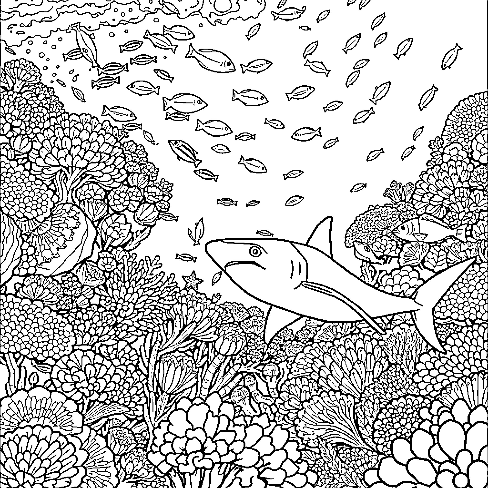 Shark swimming through a vibrant coral reef Coloring Page (free black-and-white line drawing printable PDF for all, from beginners to advanced learners, including children, teens, adults, and seniors)