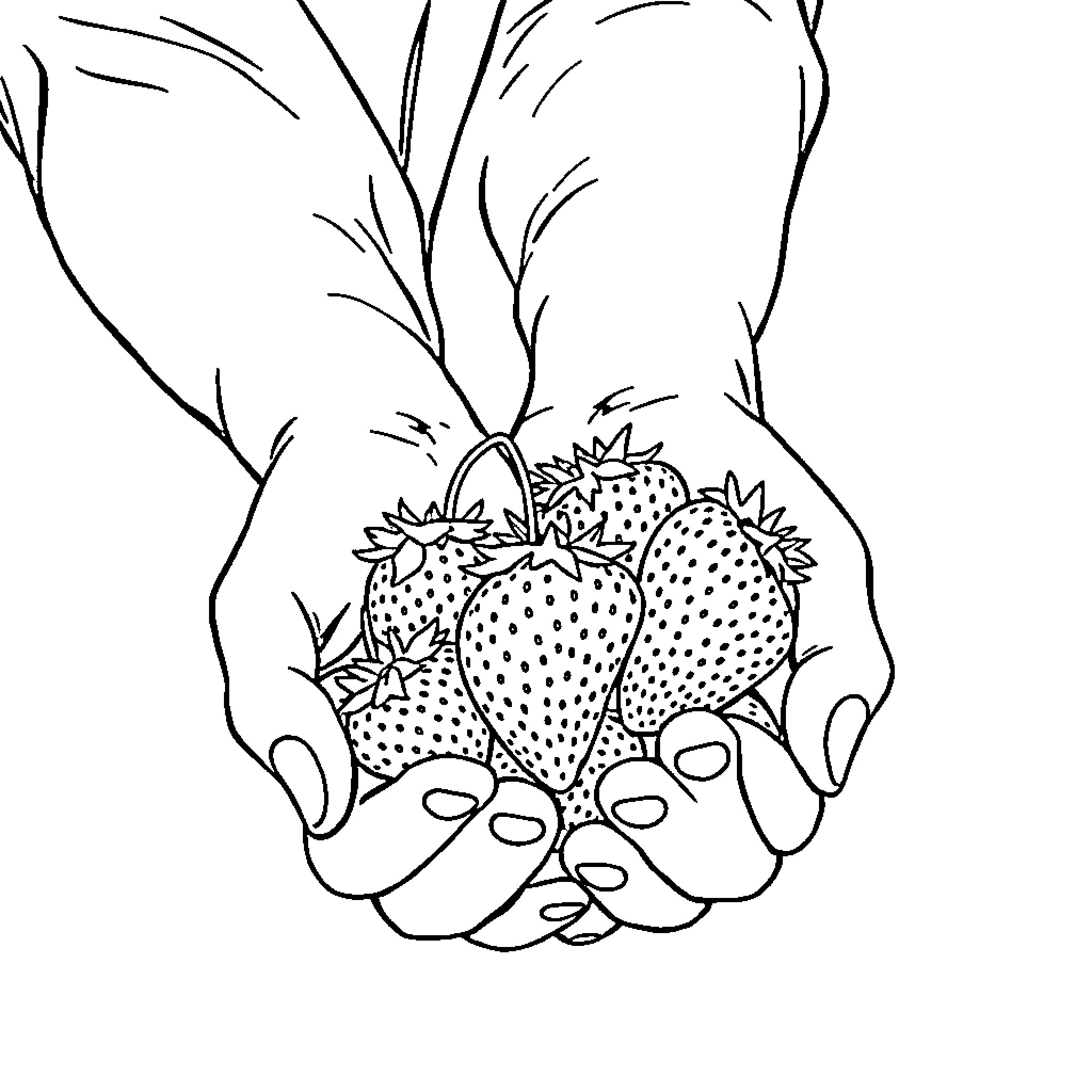 Strawberry Held in Caring Hands Coloring Page (free black-and-white line drawing printable PDF for all, from beginners to advanced learners, including children, teens, adults, and seniors)