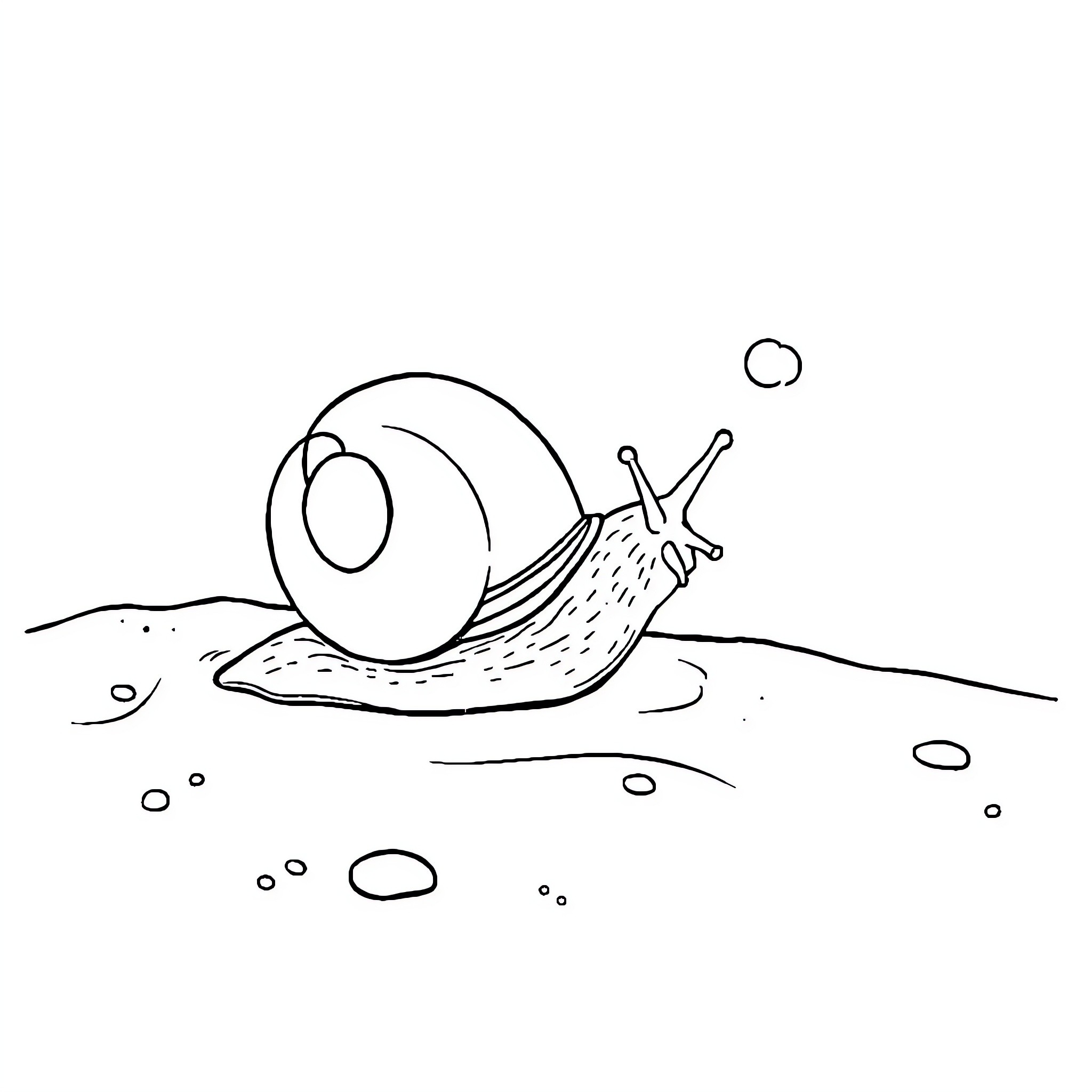 Snail crawling on the ground Coloring Page (free black-and-white line drawing printable PDF for all, from beginners to advanced learners, including children, teens, adults, and seniors)