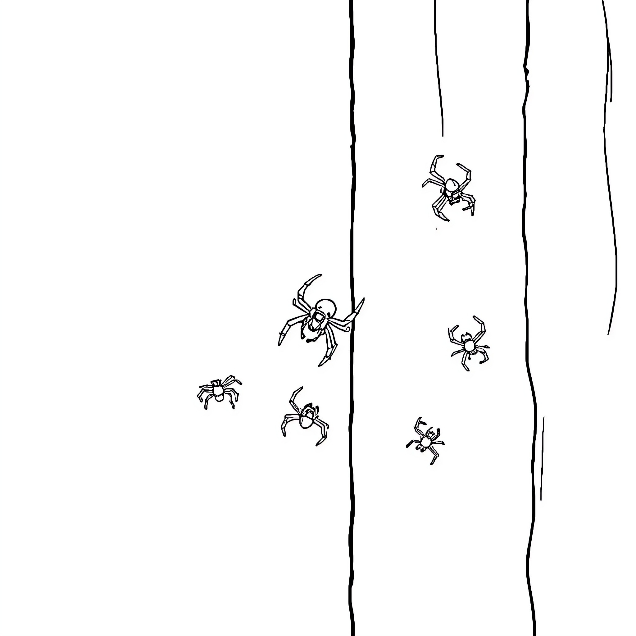 Spider Crawling Across a Surface Coloring Page (free black-and-white line drawing printable PDF for all, from beginners to advanced learners, including children, teens, adults, and seniors)