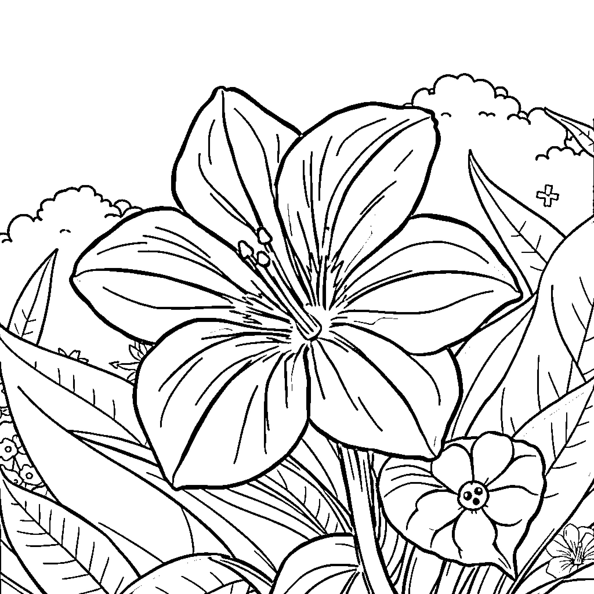 Teuila's Tropical Flower Garden Coloring Page (free black-and-white line drawing printable PDF for all, from beginners to advanced learners, including children, teens, adults, and seniors)