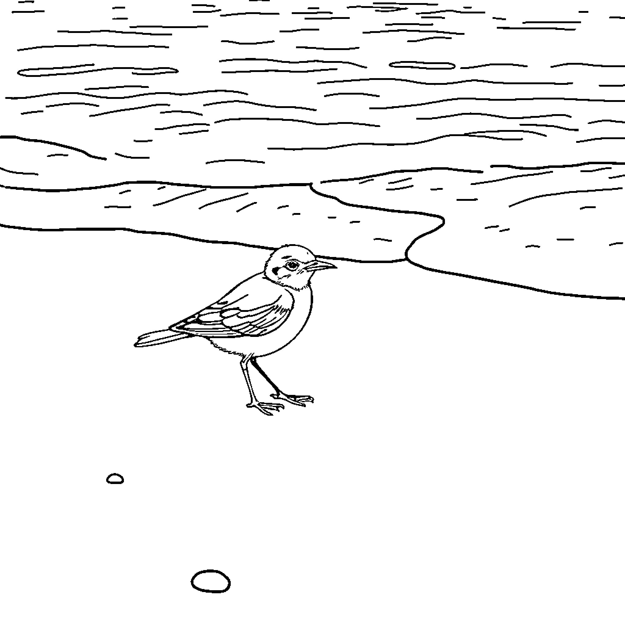 Bird perched on a shore by the water Coloring Page (free black-and-white line drawing printable PDF for all, from beginners to advanced learners, including children, teens, adults, and seniors)