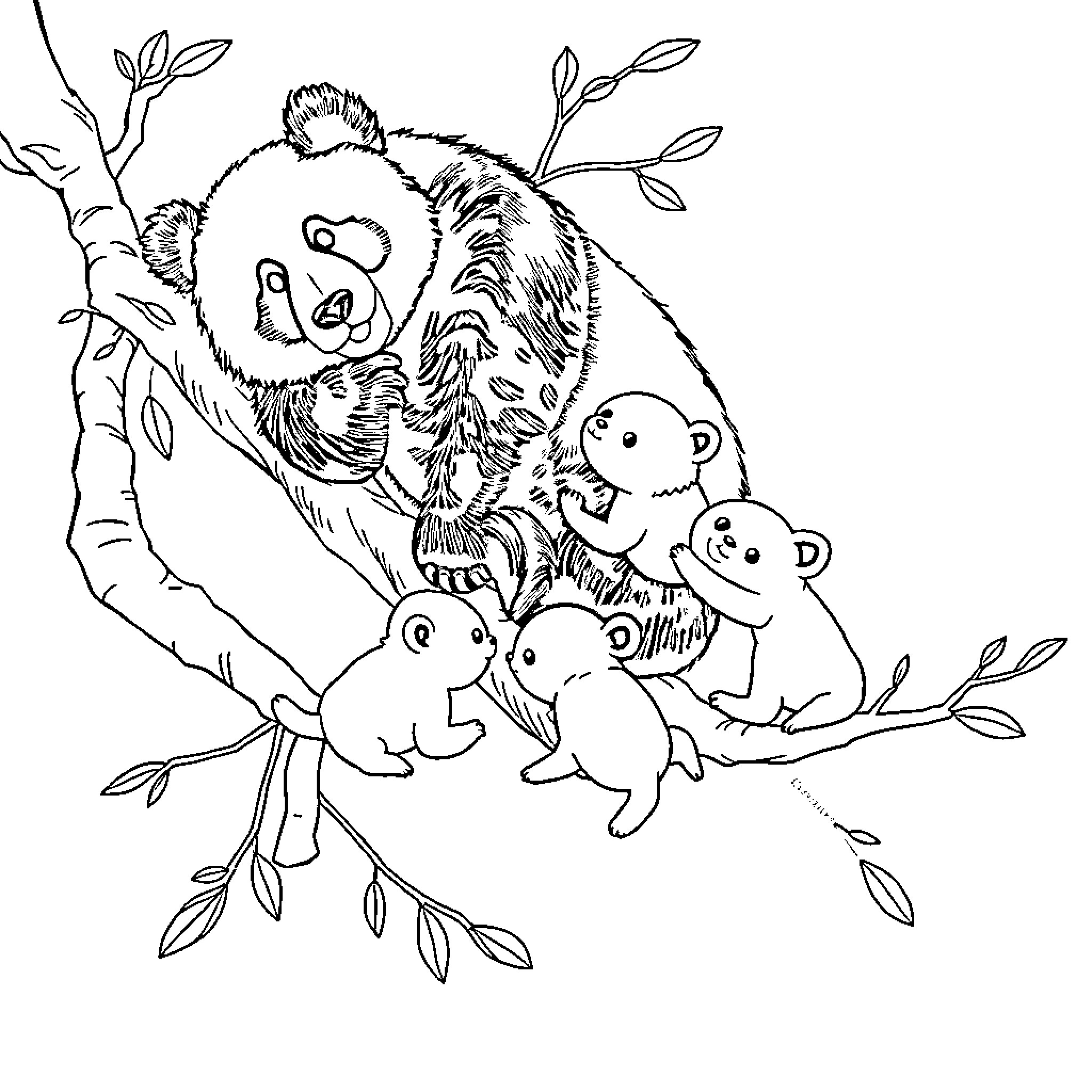 Panda family snuggling in tree branches Coloring Page (free black-and-white line drawing printable PDF for all, from beginners to advanced learners, including children, teens, adults, and seniors)