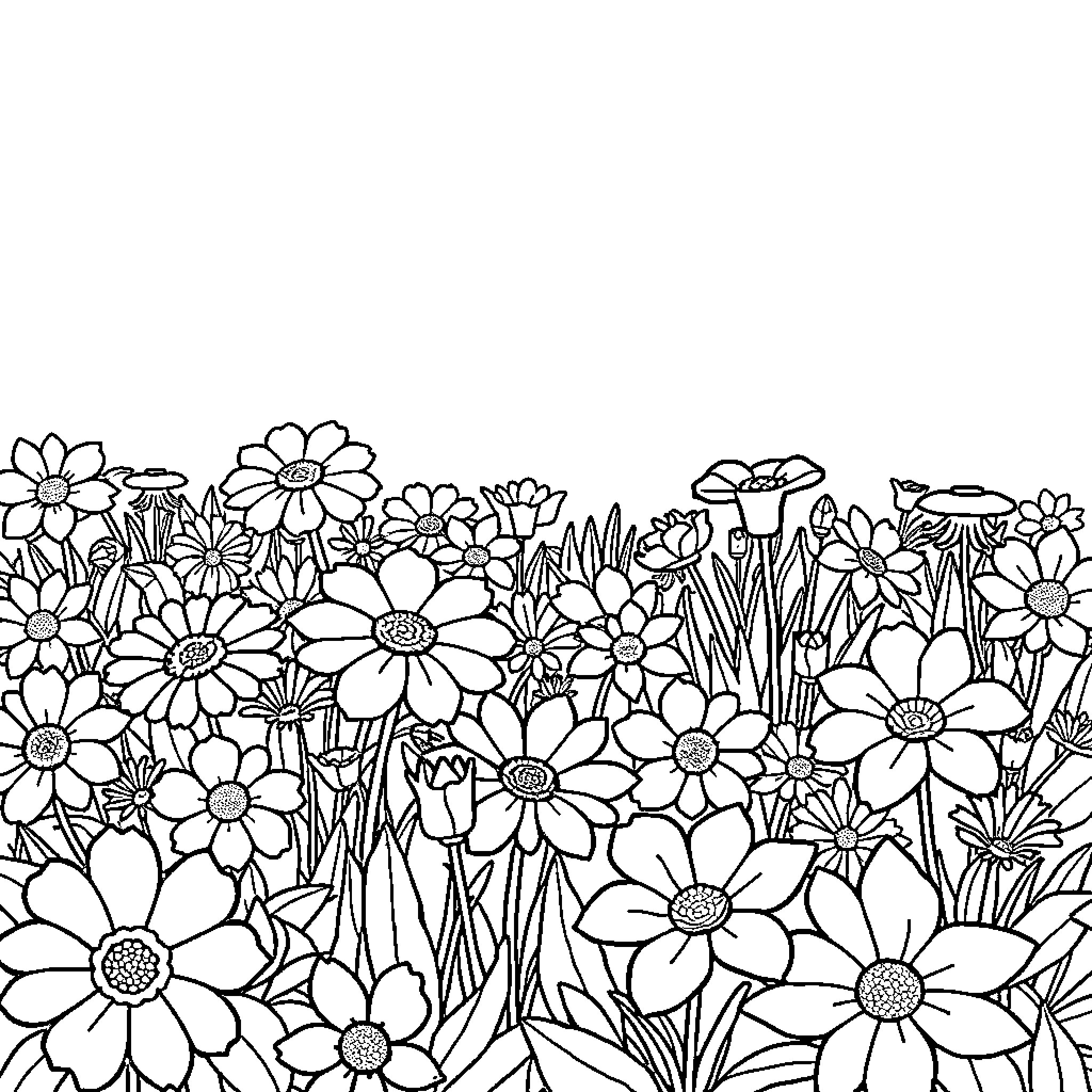 Flower Field with Blooming Daisies Coloring Page (free black-and-white line drawing printable PDF for all, from beginners to advanced learners, including children, teens, adults, and seniors)