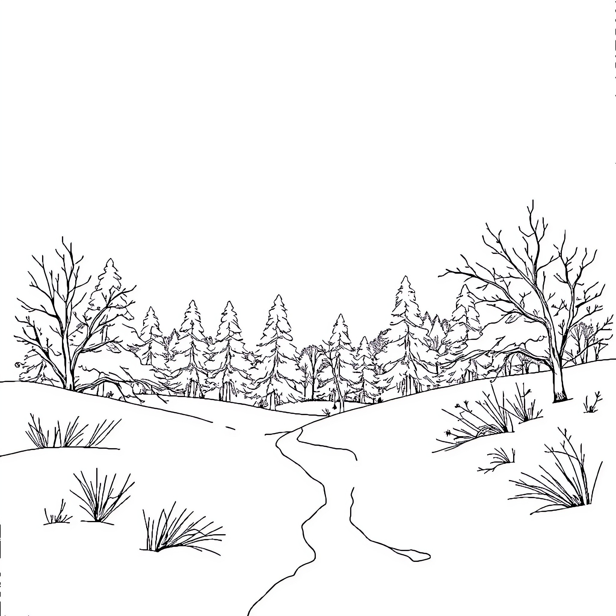 Winter forest landscape with winding path Coloring Page (free black-and-white line drawing printable PDF for all, from beginners to advanced learners, including children, teens, adults, and seniors)