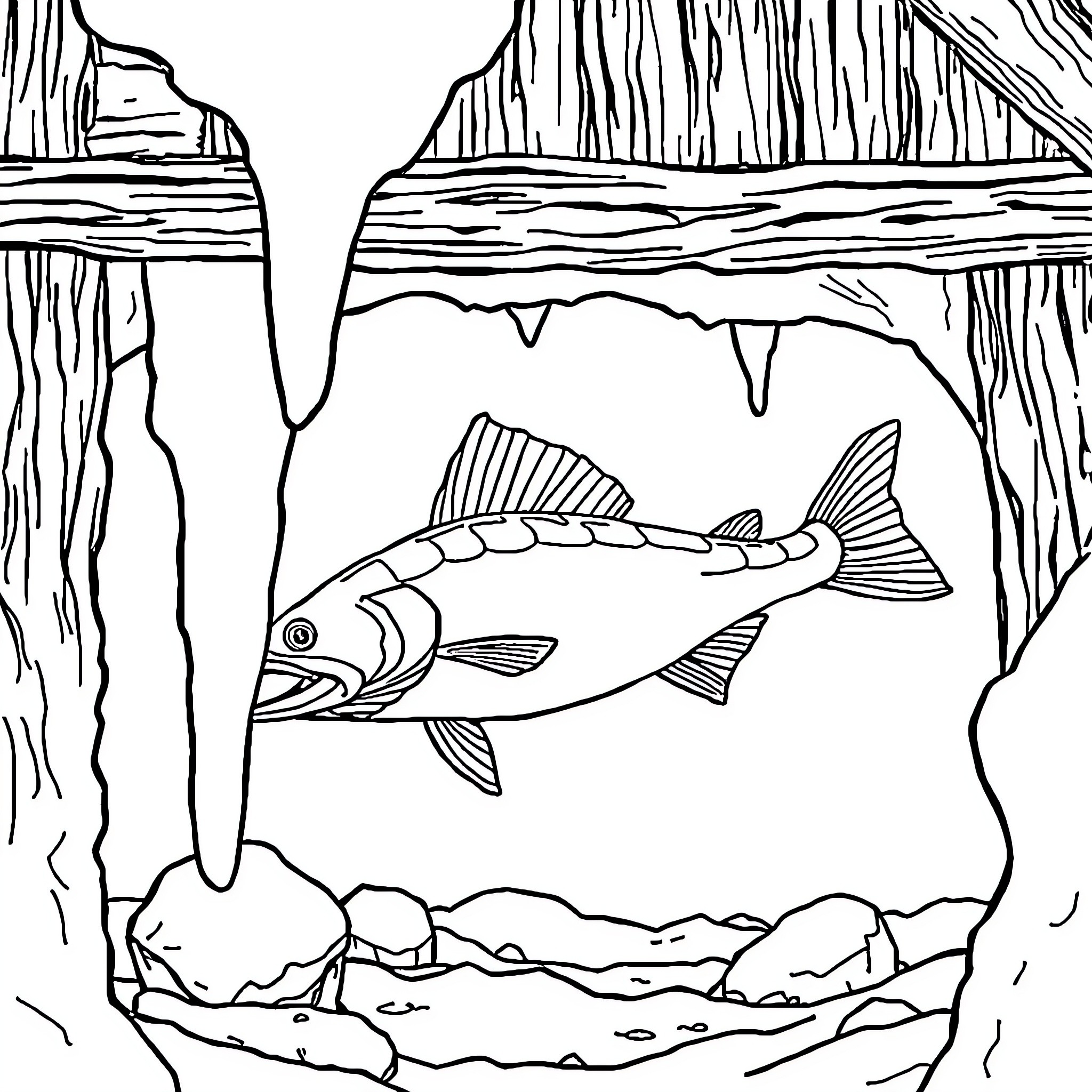 Sturgeon swimming amidst rocky underwater landscape Coloring Page (free black-and-white line drawing printable PDF for all, from beginners to advanced learners, including children, teens, adults, and seniors)