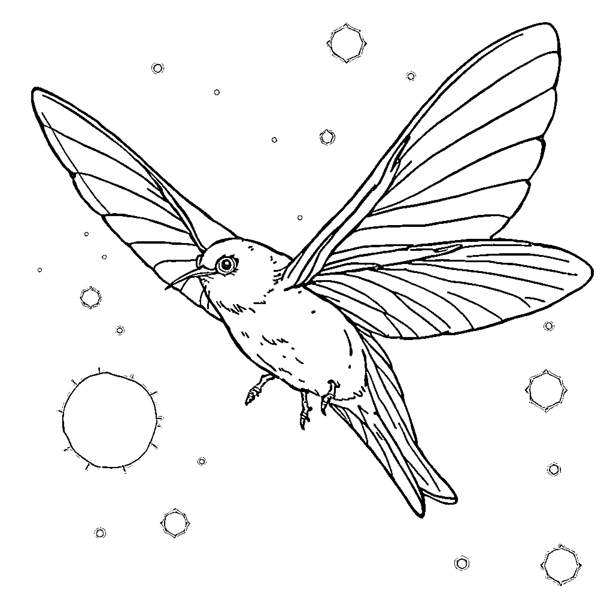 Pumpkin-Shaped Hummingbird in Starry Sky Coloring Page (free black-and-white line drawing printable PDF for all, from beginners to advanced learners, including children, teens, adults, and seniors)