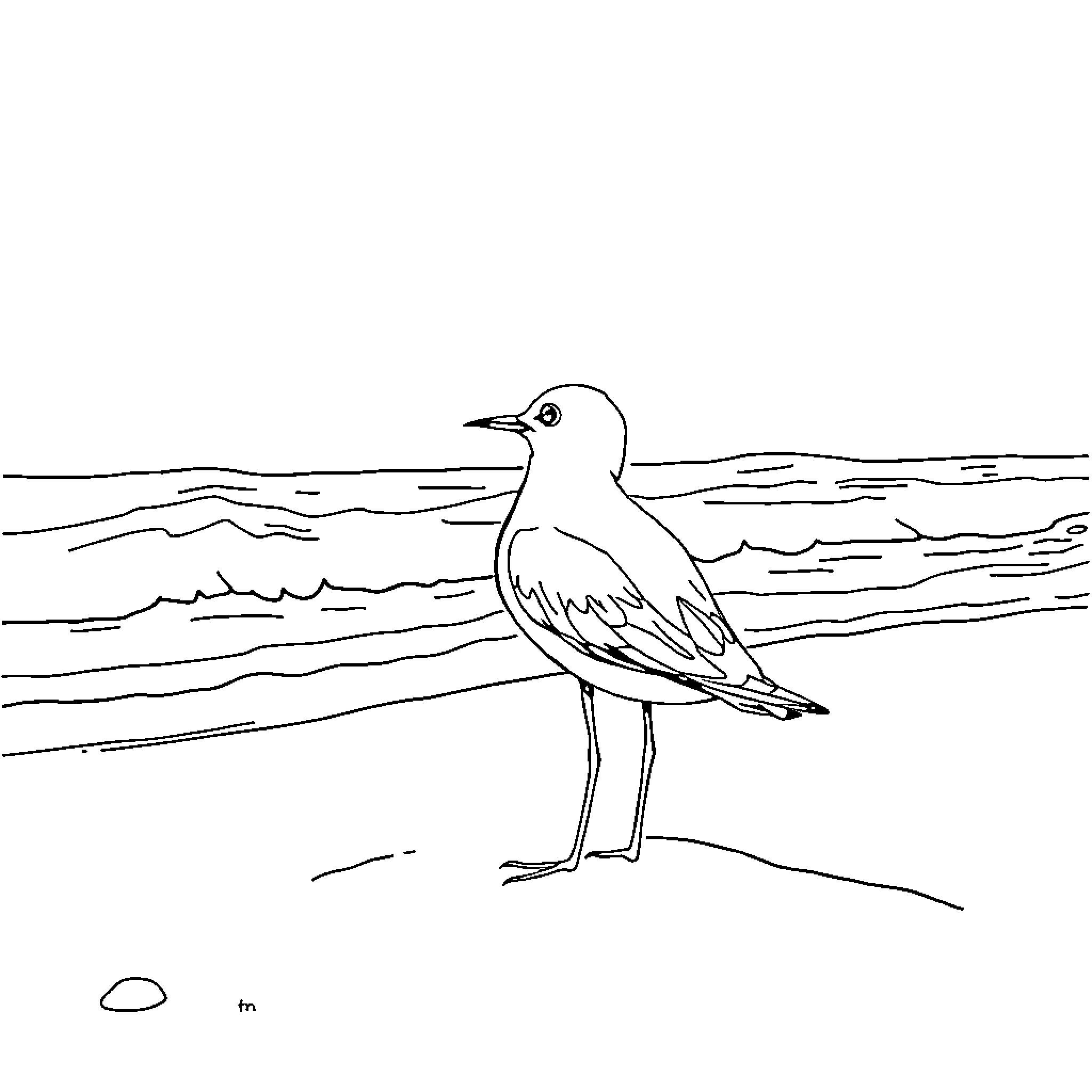 Tern standing near the sea Coloring Page (free black-and-white line drawing printable PDF for all, from beginners to advanced learners, including children, teens, adults, and seniors)