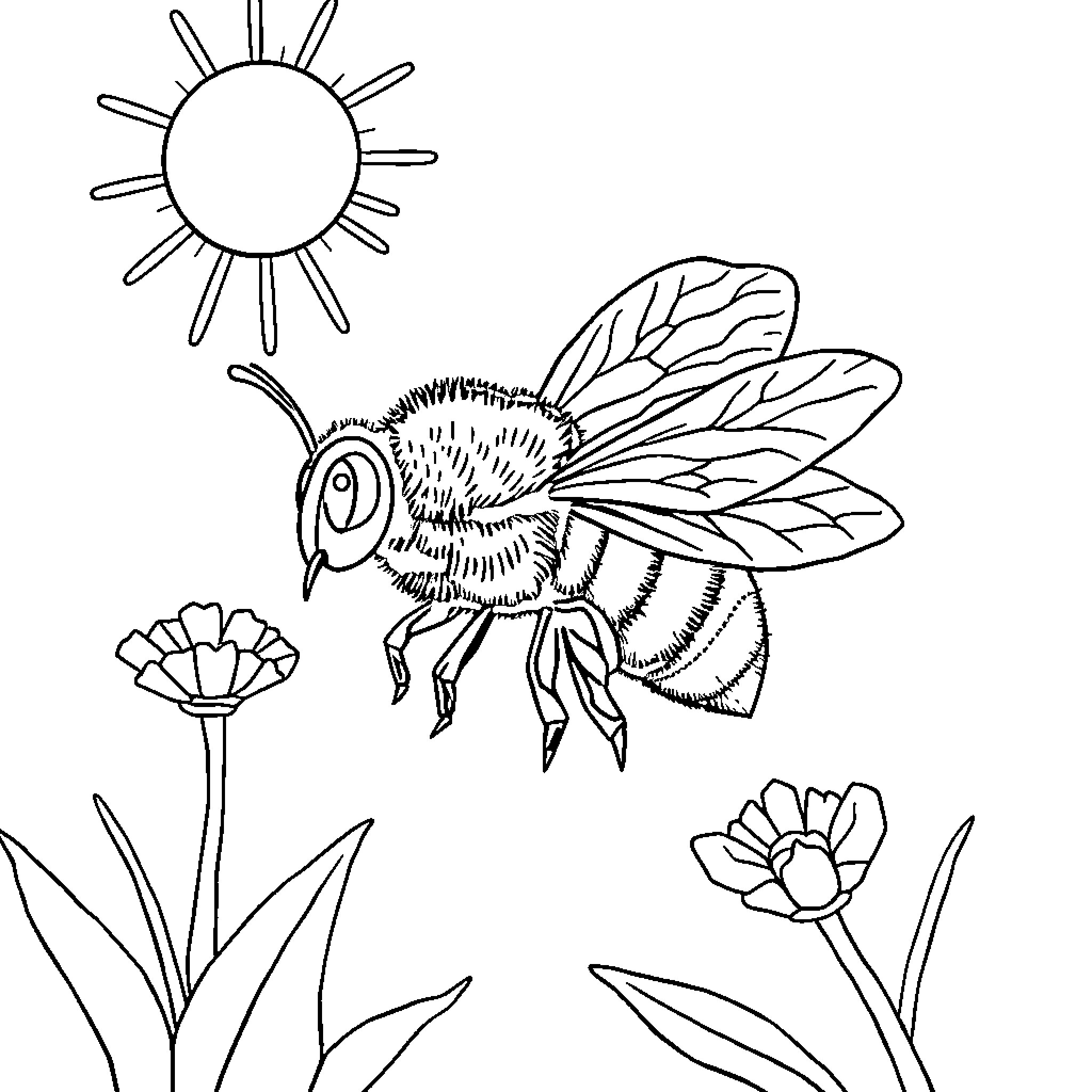 Bee Pollinating Flowers in the Sunshine Coloring Page (free black-and-white line drawing printable PDF for all, from beginners to advanced learners, including children, teens, adults, and seniors)
