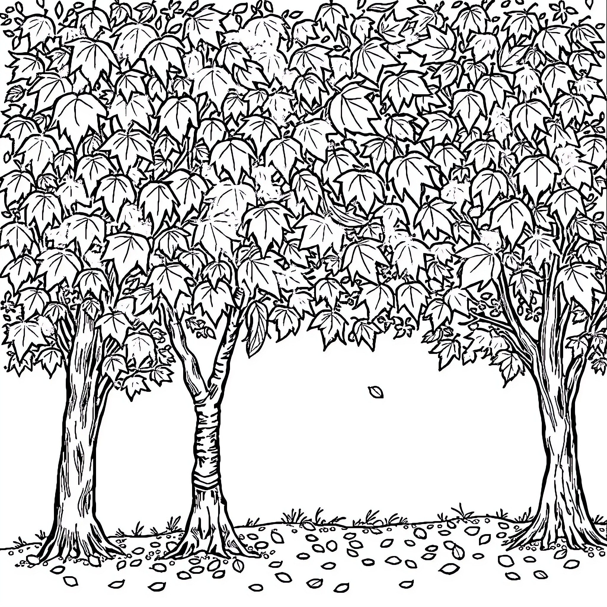 Fall foliage amidst the trees Coloring Page (free black-and-white line drawing printable PDF for all, from beginners to advanced learners, including children, teens, adults, and seniors)