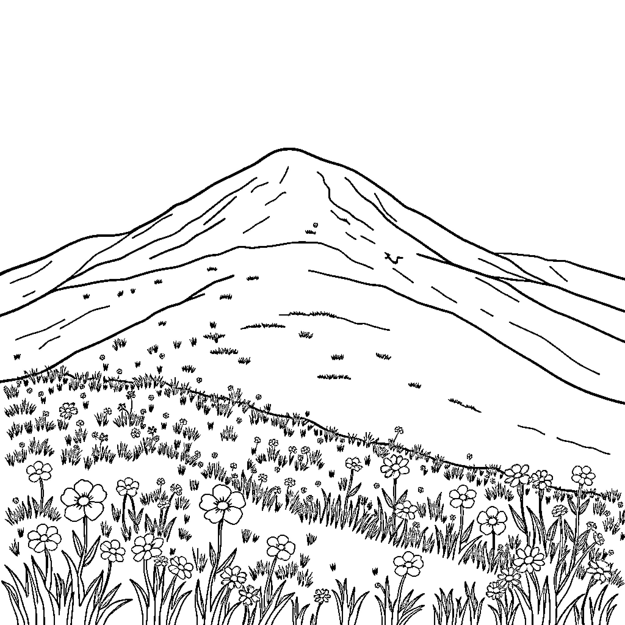 Hill with Blooming Wildflowers in Scenic Landscape Coloring Page (free black-and-white line drawing printable PDF for all, from beginners to advanced learners, including children, teens, adults, and seniors)