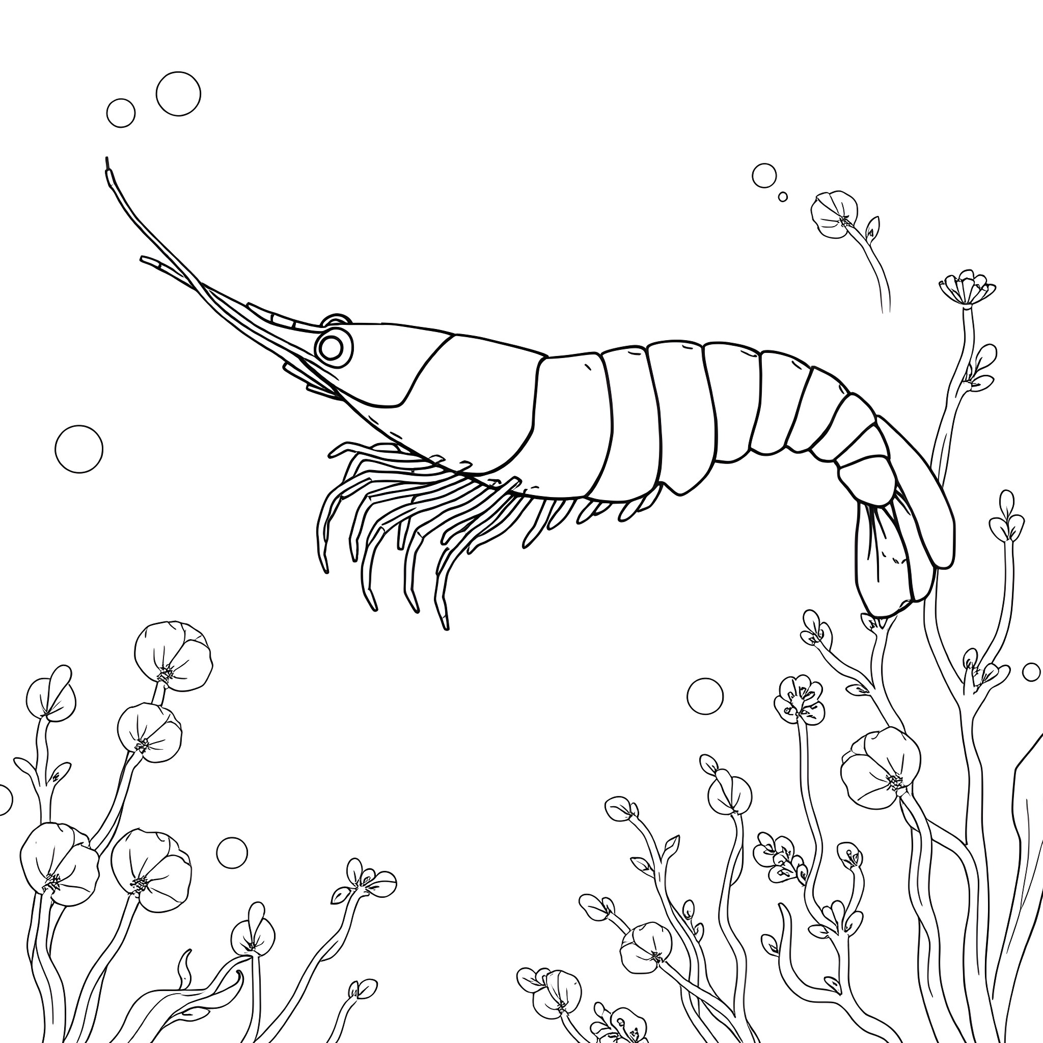 Shrimp swimming gracefully in the sea Coloring Page (free black-and-white line drawing printable PDF for all, from beginners to advanced learners, including children, teens, adults, and seniors)