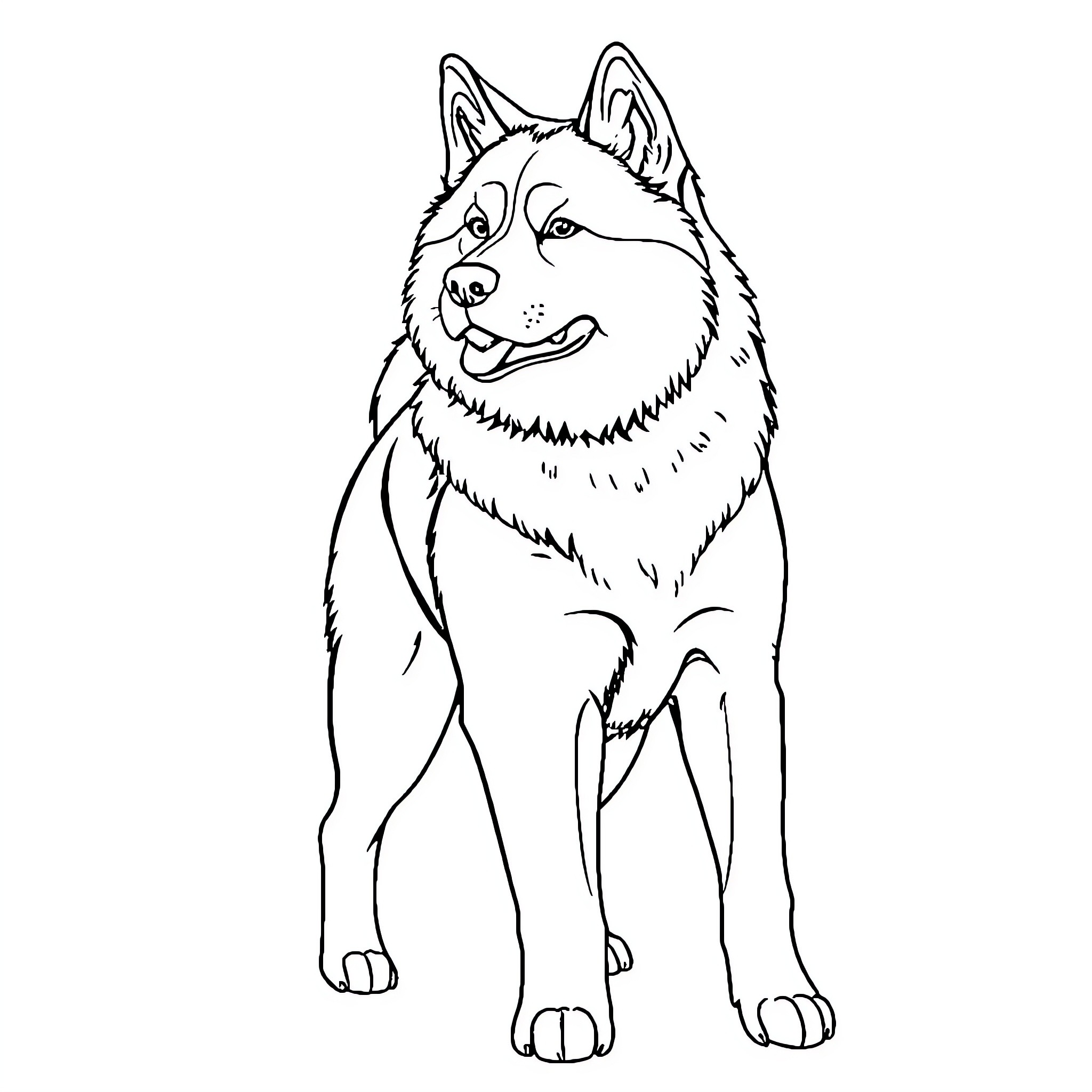 Akita dog standing happily Coloring Page (free black-and-white line drawing printable PDF for all, from beginners to advanced learners, including children, teens, adults, and seniors)