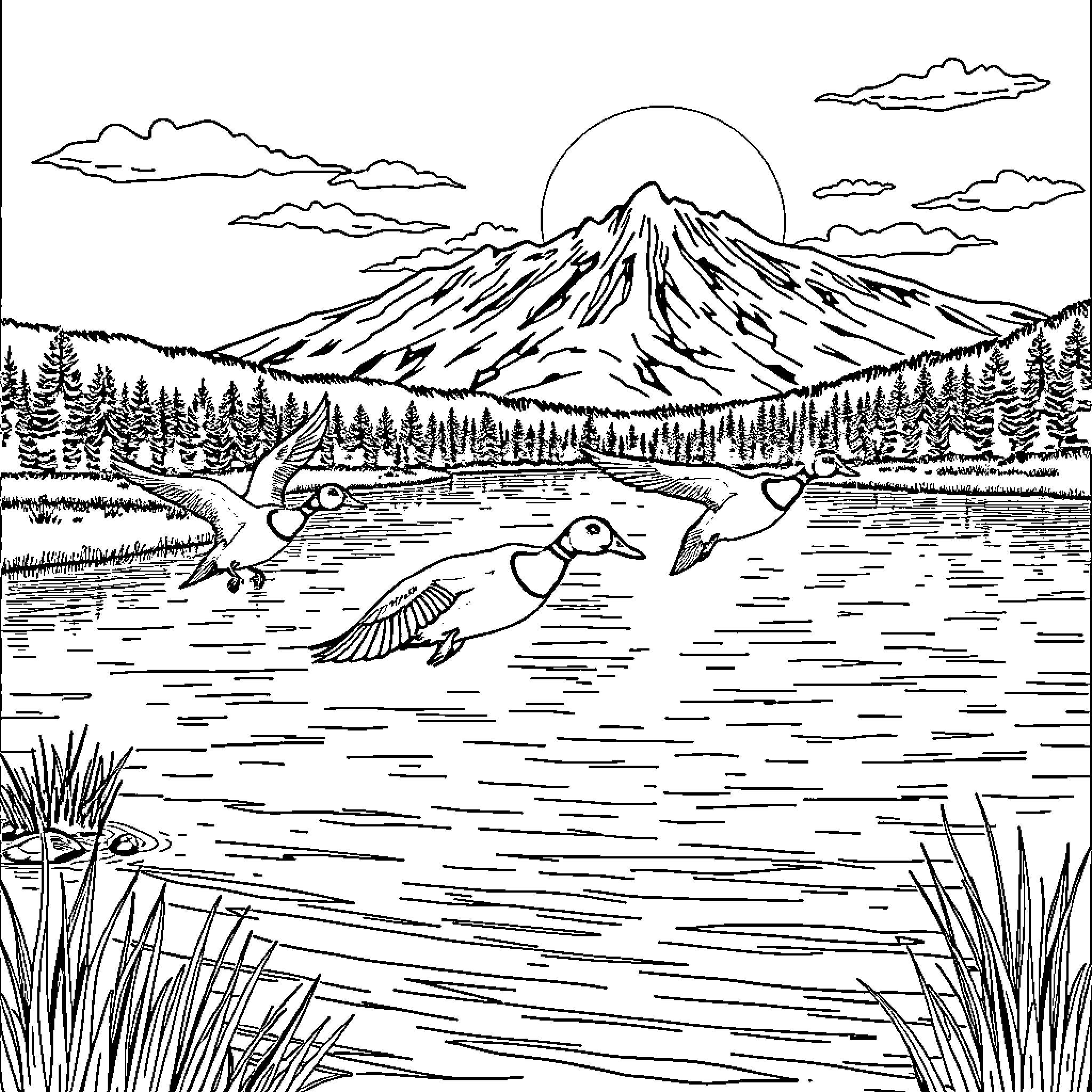 Mallard ducks soaring over a scenic mountain lake Coloring Page (free black-and-white line drawing printable PDF for all, from beginners to advanced learners, including children, teens, adults, and seniors)