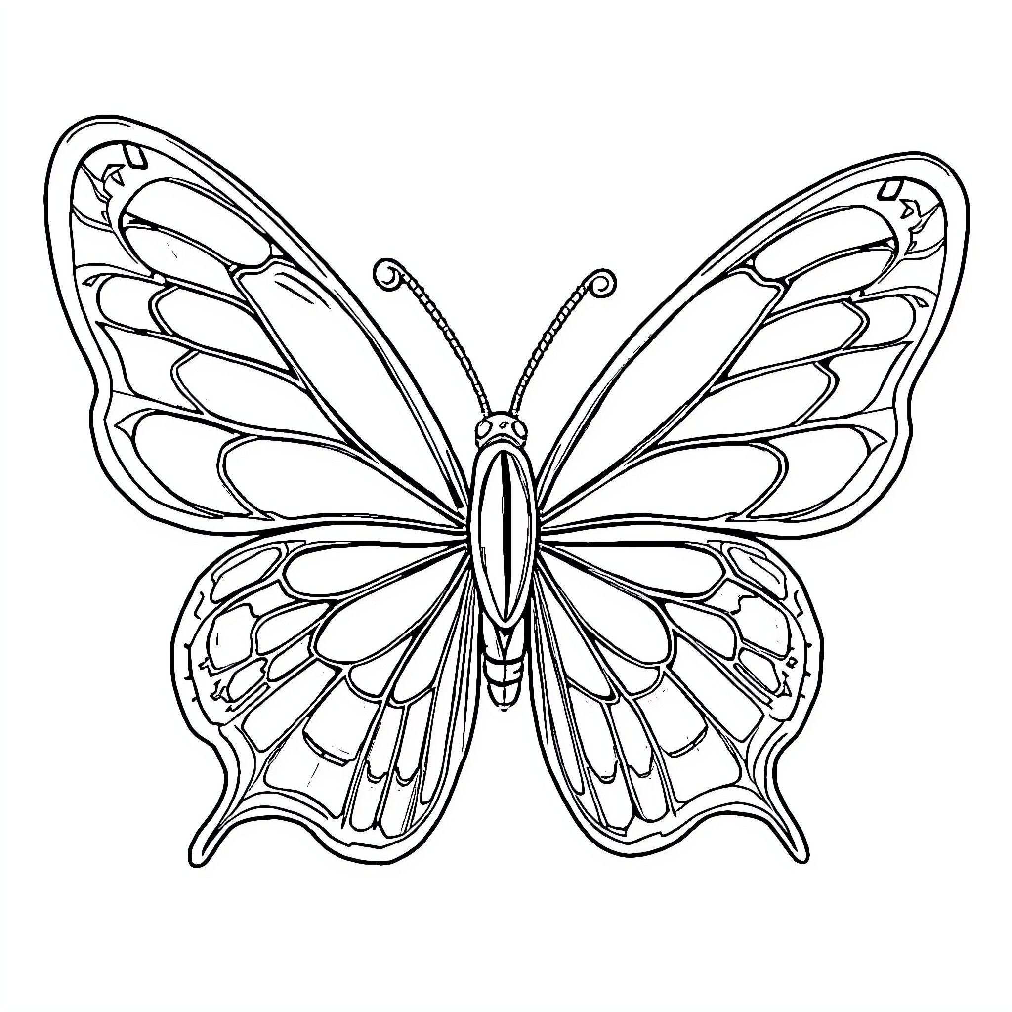 Butterfly with intricate wing design Coloring Page (free black-and-white line drawing printable PDF for all, from beginners to advanced learners, including children, teens, adults, and seniors)