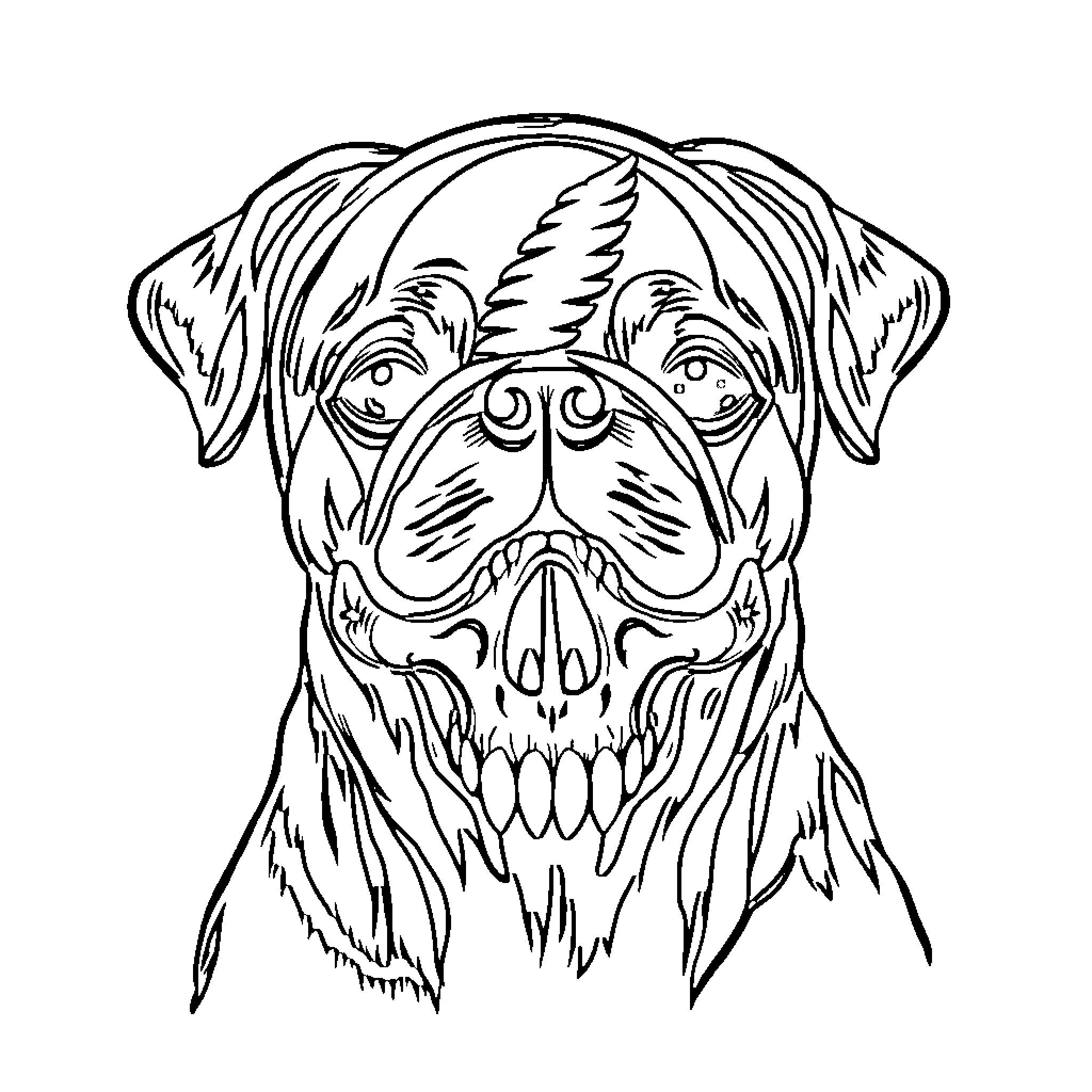 Stealie Skull-Faced Pup with Fierce Expression Coloring Page (free black-and-white line drawing printable PDF for all, from beginners to advanced learners, including children, teens, adults, and seniors)