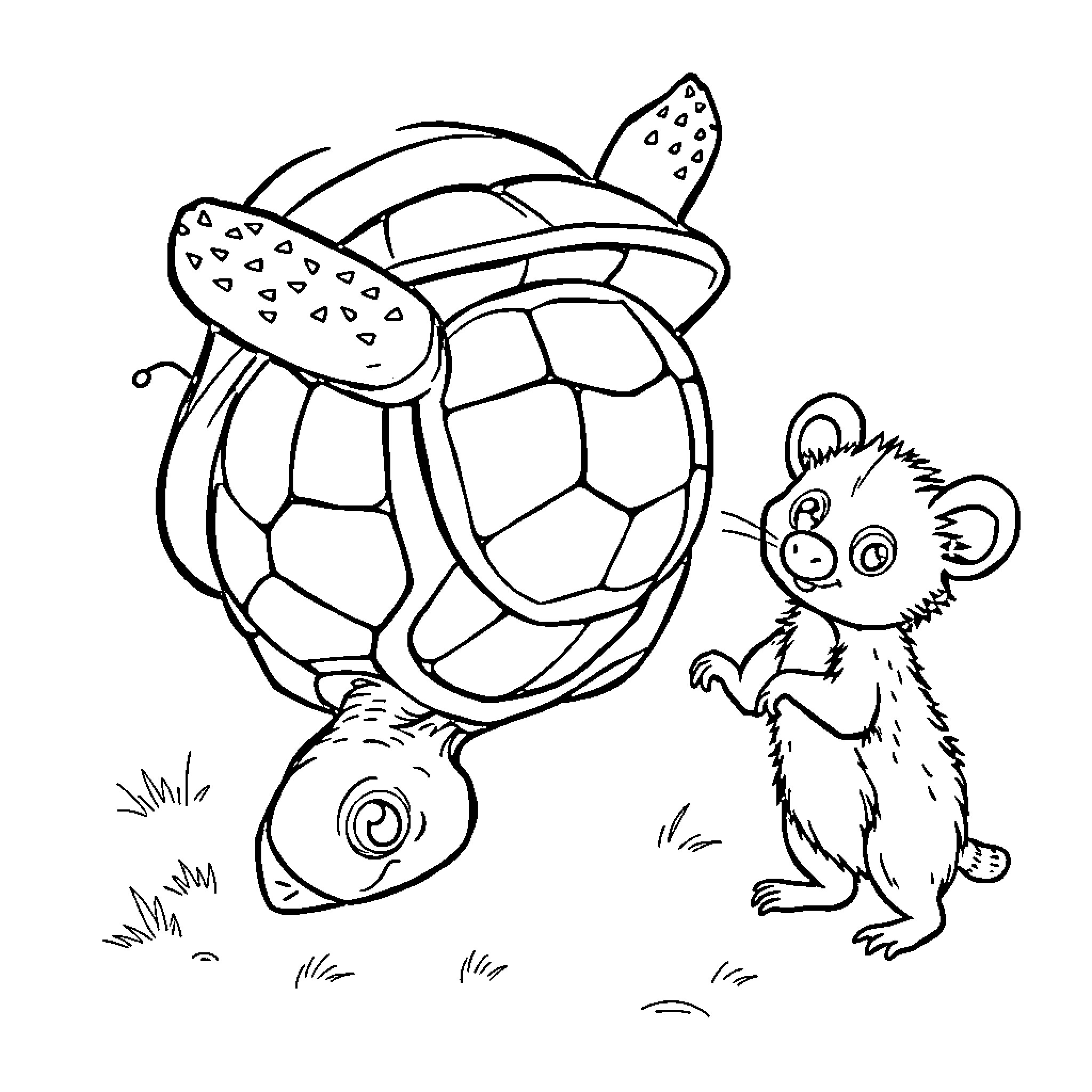 Turtle and curious creature in grassy setting Coloring Page (free black-and-white line drawing printable PDF for all, from beginners to advanced learners, including children, teens, adults, and seniors)