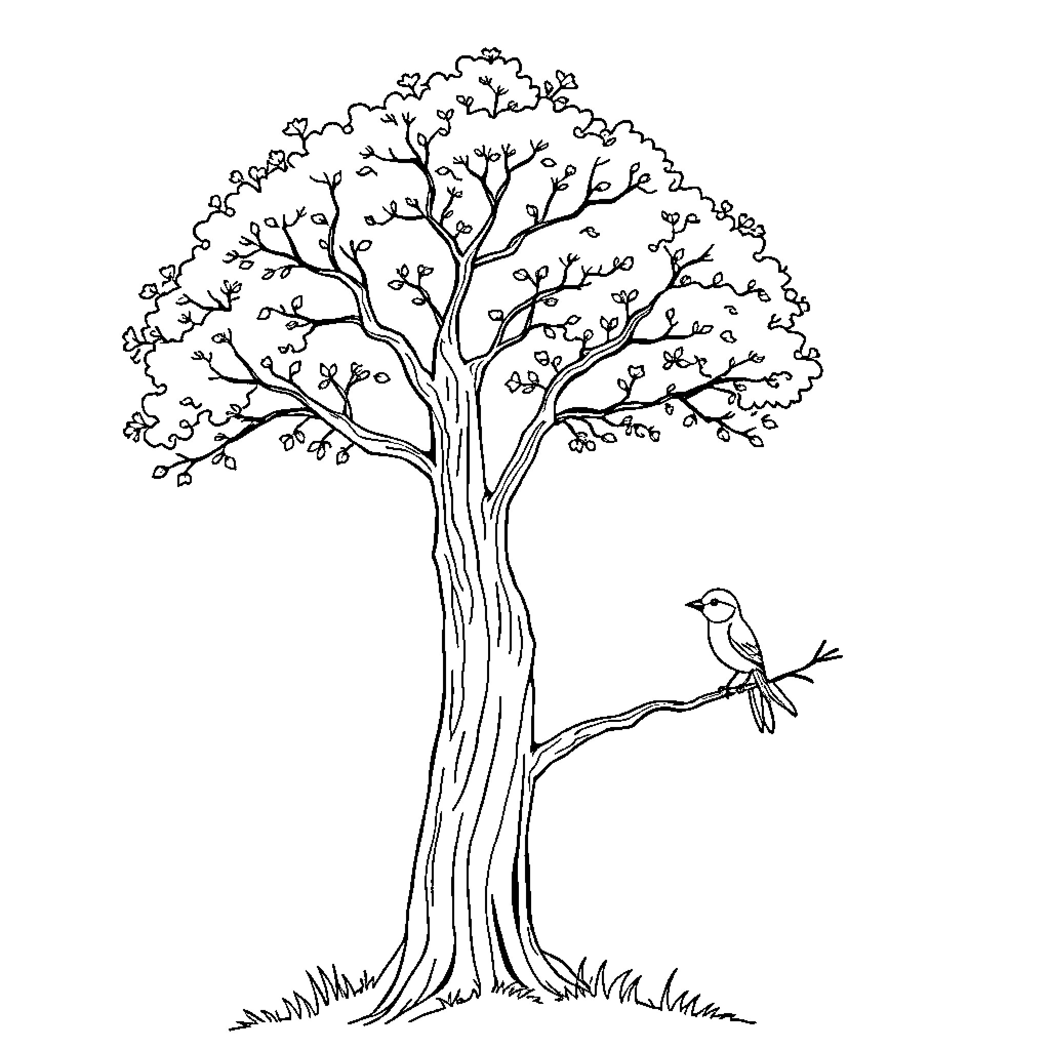 Tree with a bird perched on a branch Coloring Page (free black-and-white line drawing printable PDF for all, from beginners to advanced learners, including children, teens, adults, and seniors)