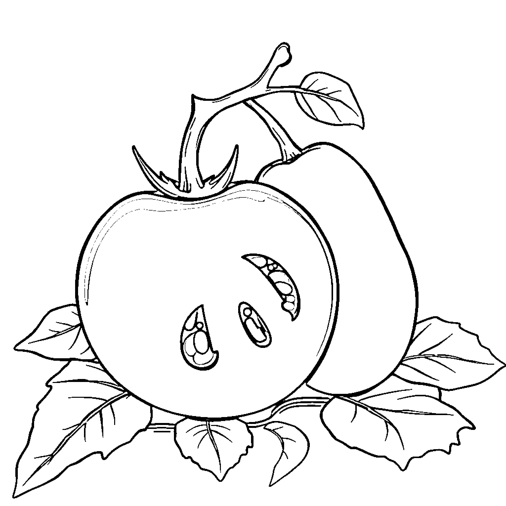 Tomato plant with leaves and stem Coloring Page (free black-and-white line drawing printable PDF for all, from beginners to advanced learners, including children, teens, adults, and seniors)