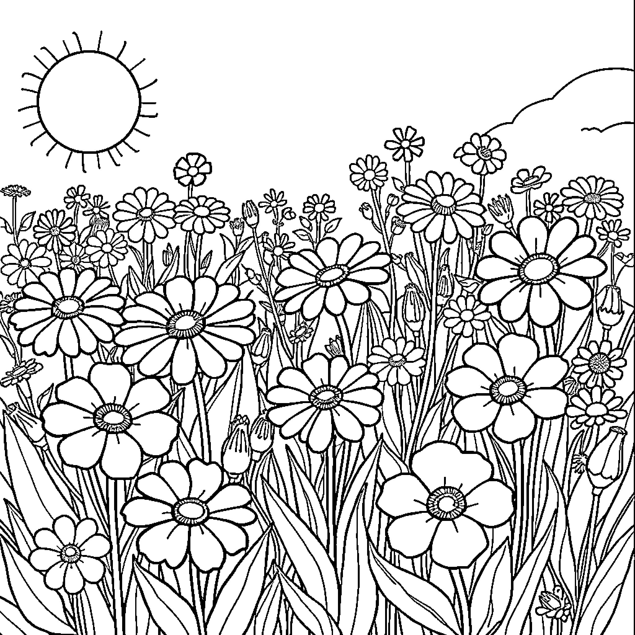 Flower field in bloom under the sun Coloring Page (free black-and-white line drawing printable PDF for all, from beginners to advanced learners, including children, teens, adults, and seniors)