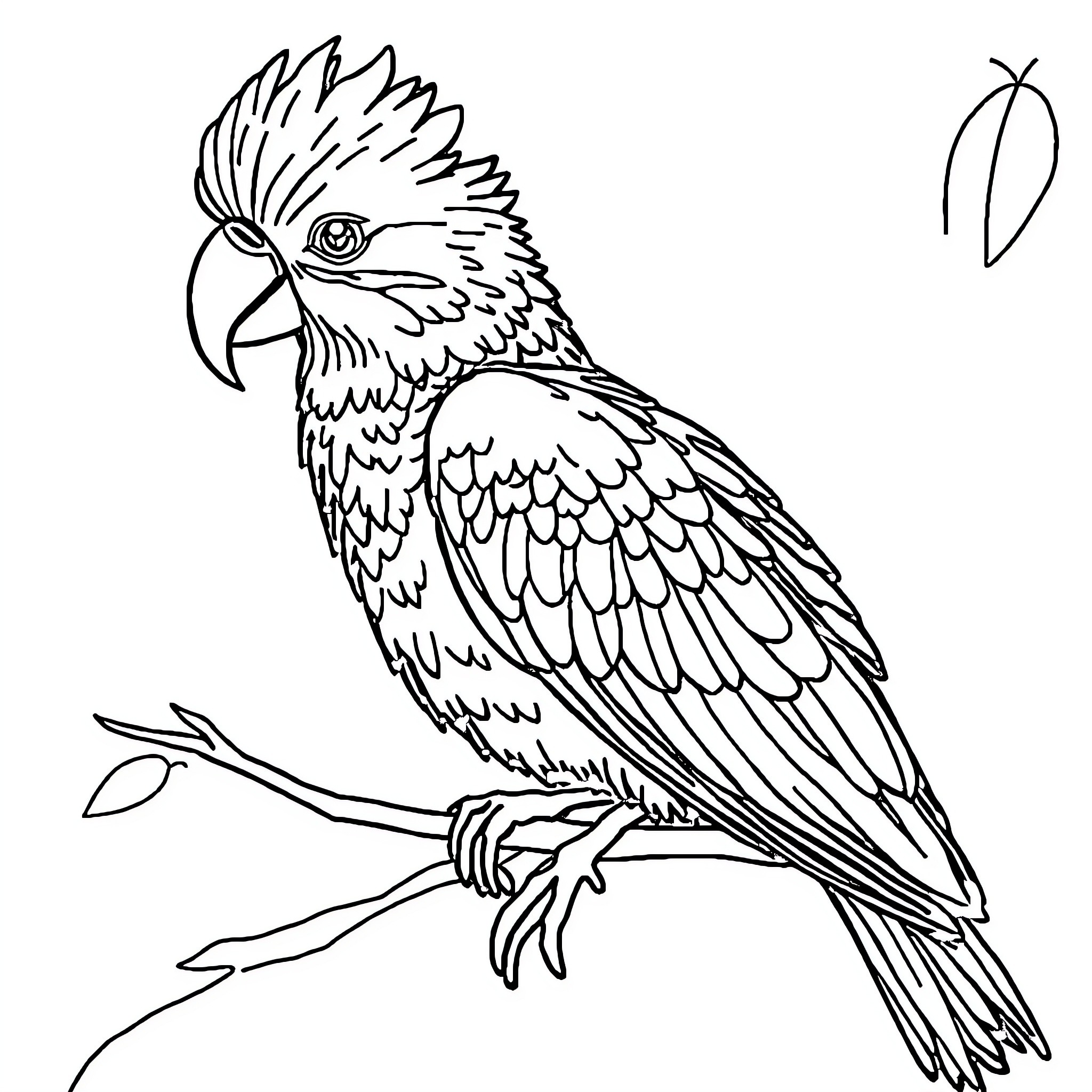 Sempel Animal perched on branch Coloring Page (free black-and-white line drawing printable PDF for all, from beginners to advanced learners, including children, teens, adults, and seniors)