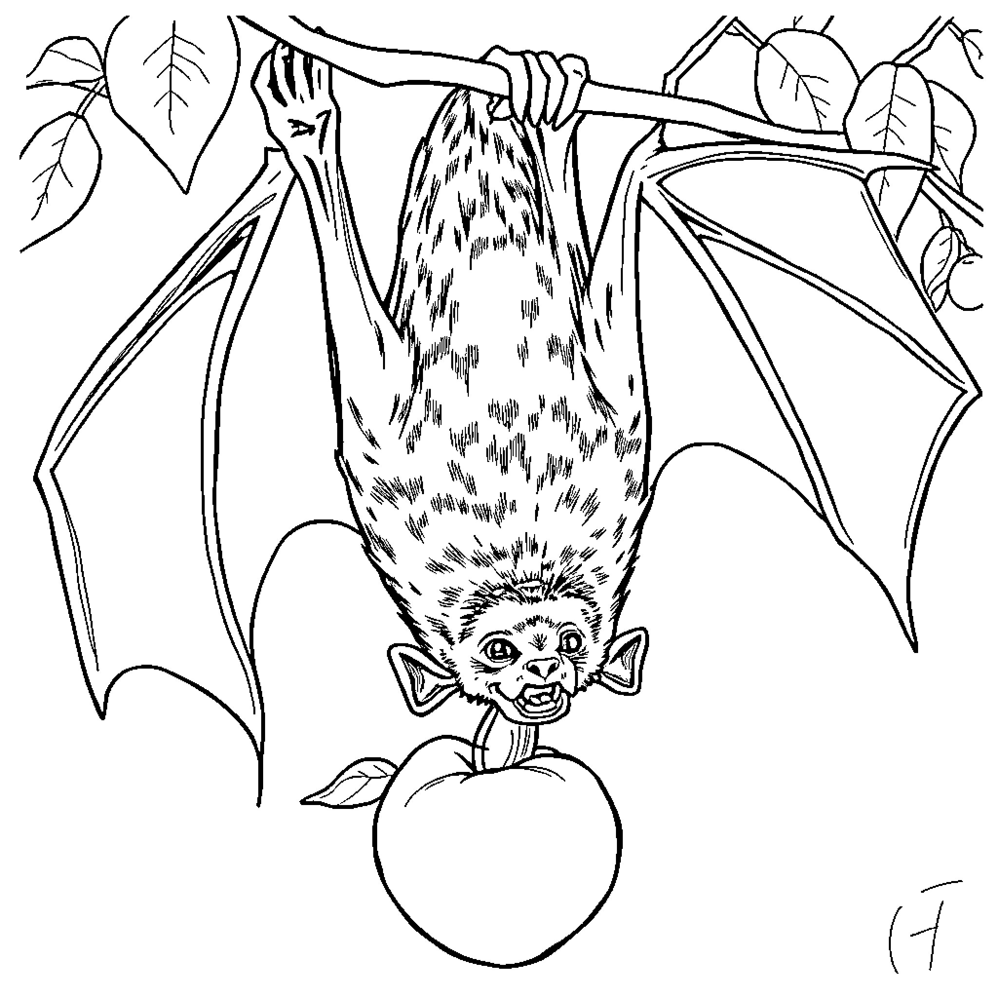 Bat hanging upside down with an apple Coloring Page (free black-and-white line drawing printable PDF for all, from beginners to advanced learners, including children, teens, adults, and seniors)