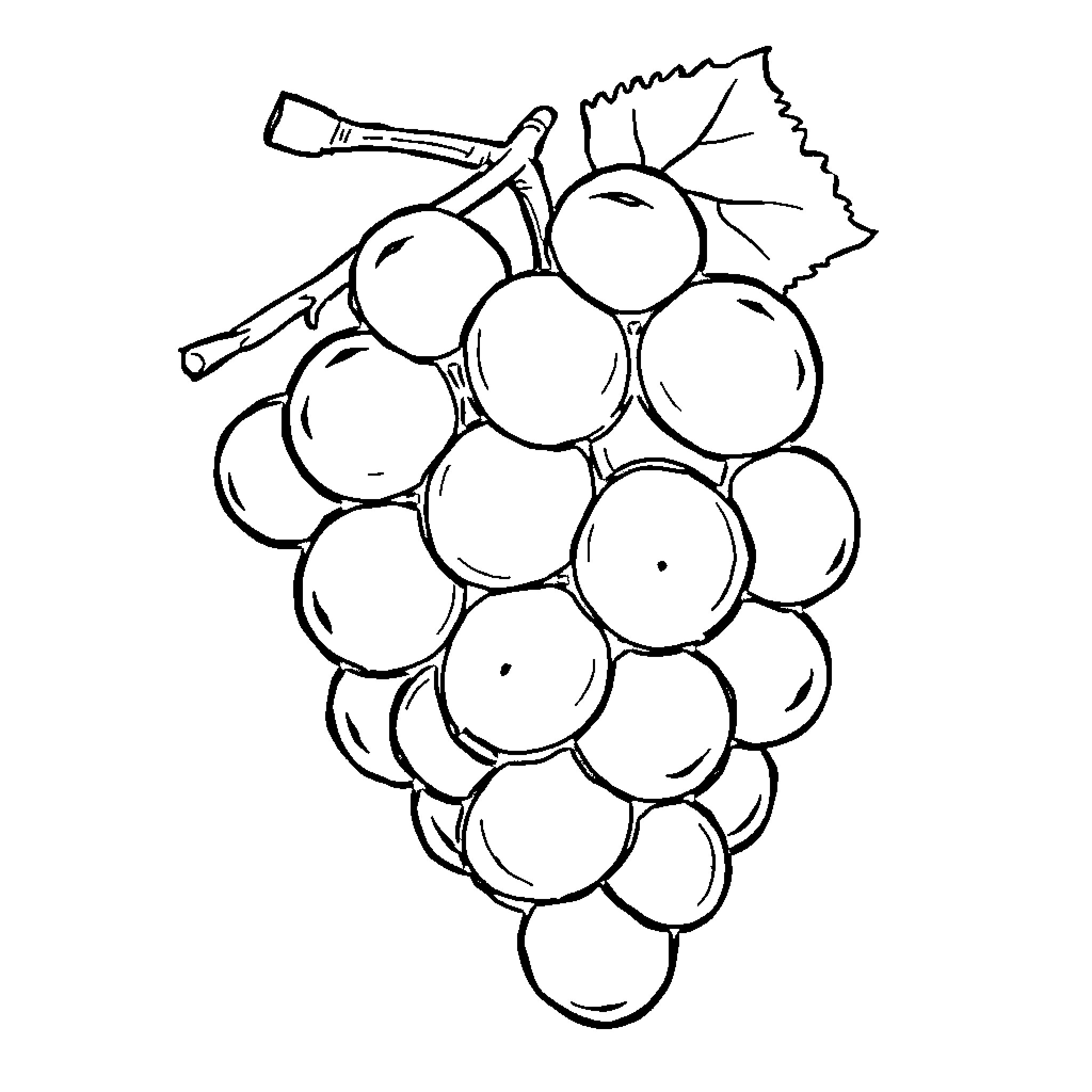 Grape bunch with stems and leaves Coloring Page (free black-and-white line drawing printable PDF for all, from beginners to advanced learners, including children, teens, adults, and seniors)