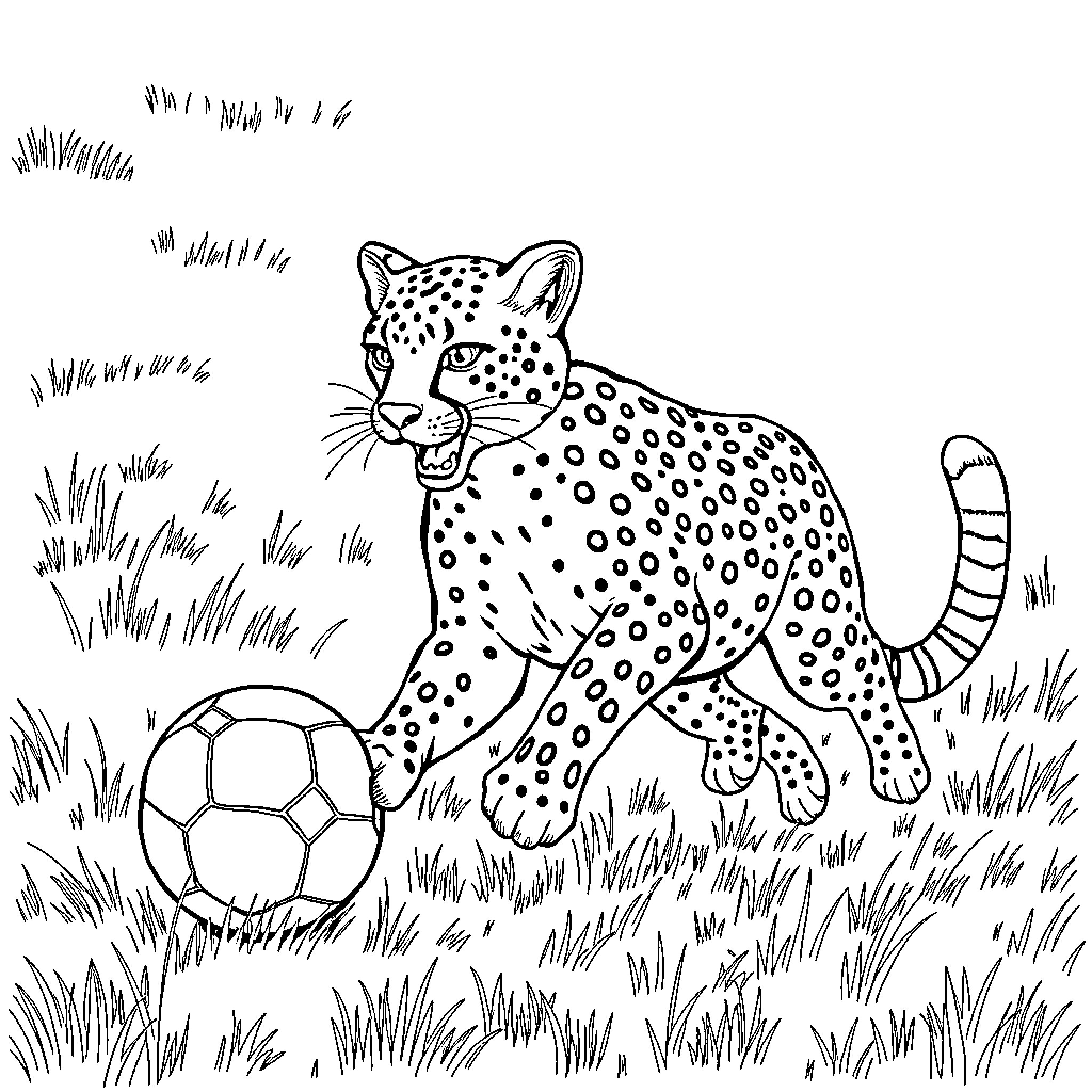 Cheetah playing with soccer ball in the grass Coloring Page (free black-and-white line drawing printable PDF for all, from beginners to advanced learners, including children, teens, adults, and seniors)
