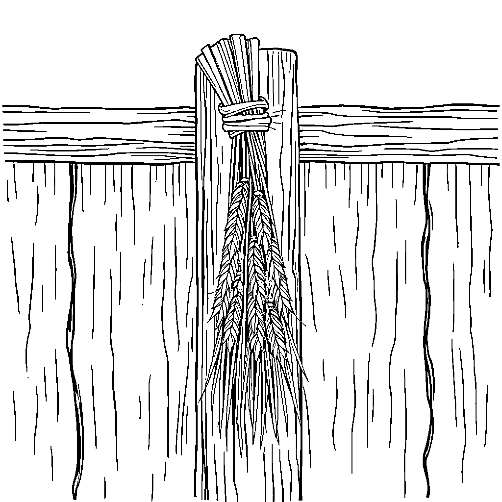 Wheat Field Covered in Fog Coloring Page (free black-and-white line drawing printable PDF for all, from beginners to advanced learners, including children, teens, adults, and seniors)