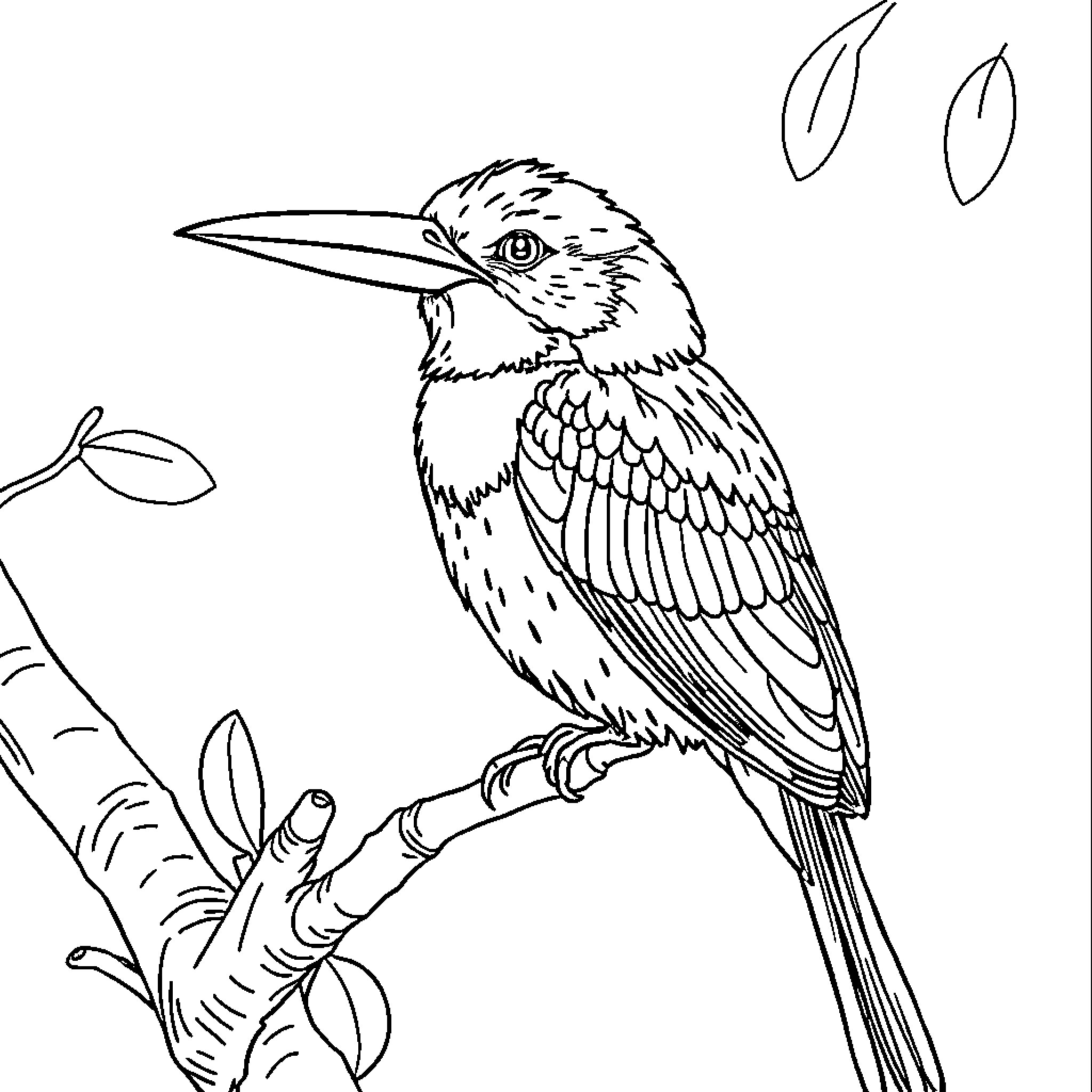 Parrot perched on branch with foliage Coloring Page (free black-and-white line drawing printable PDF for all, from beginners to advanced learners, including children, teens, adults, and seniors)