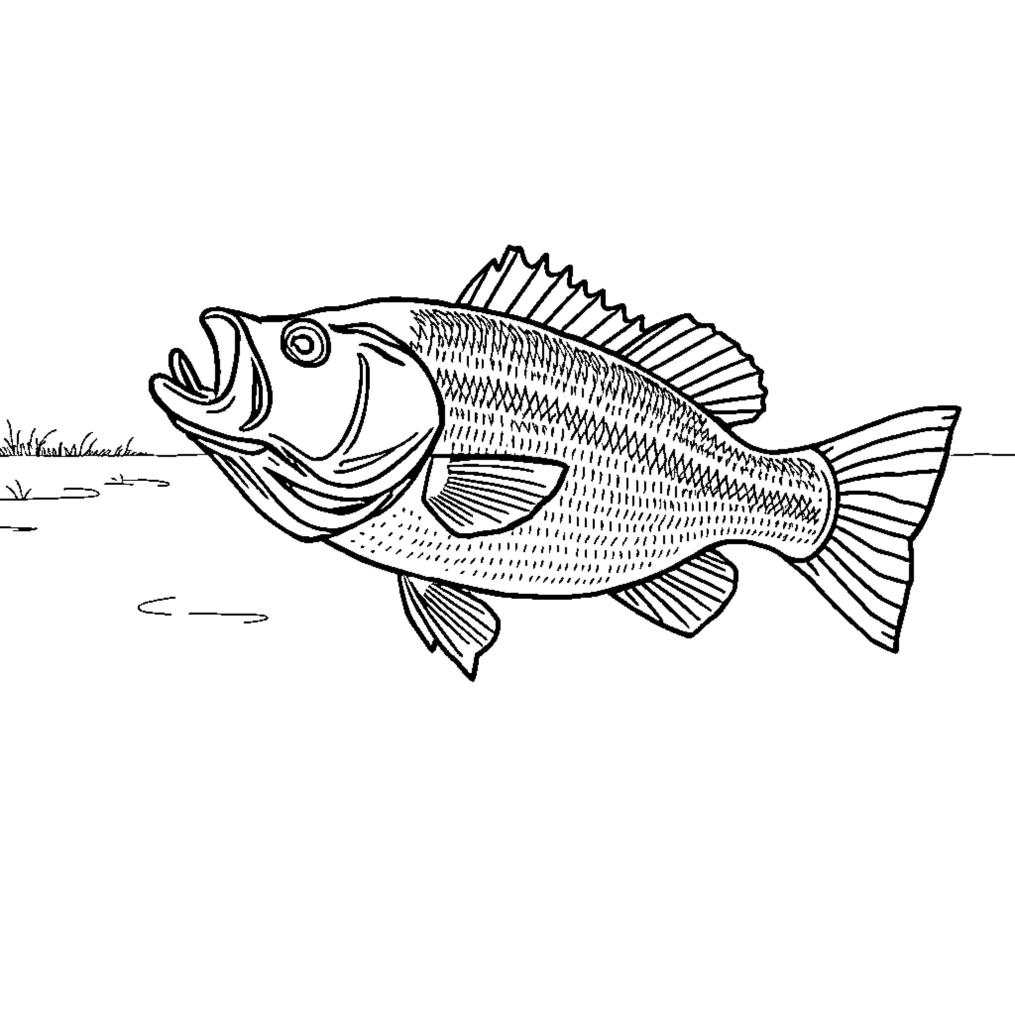 Largemouth Bass swimming in the water Coloring Page (free black-and-white line drawing printable PDF for all, from beginners to advanced learners, including children, teens, adults, and seniors)