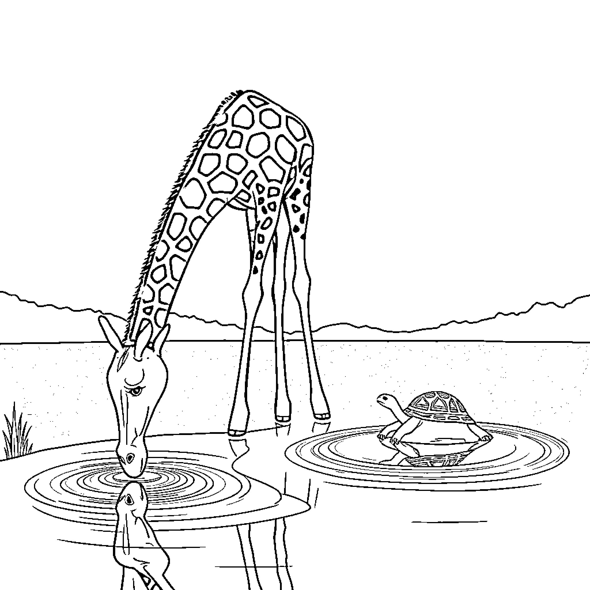 Giraffe and Turtle interacting in the Pond Coloring Page (free black-and-white line drawing printable PDF for all, from beginners to advanced learners, including children, teens, adults, and seniors)