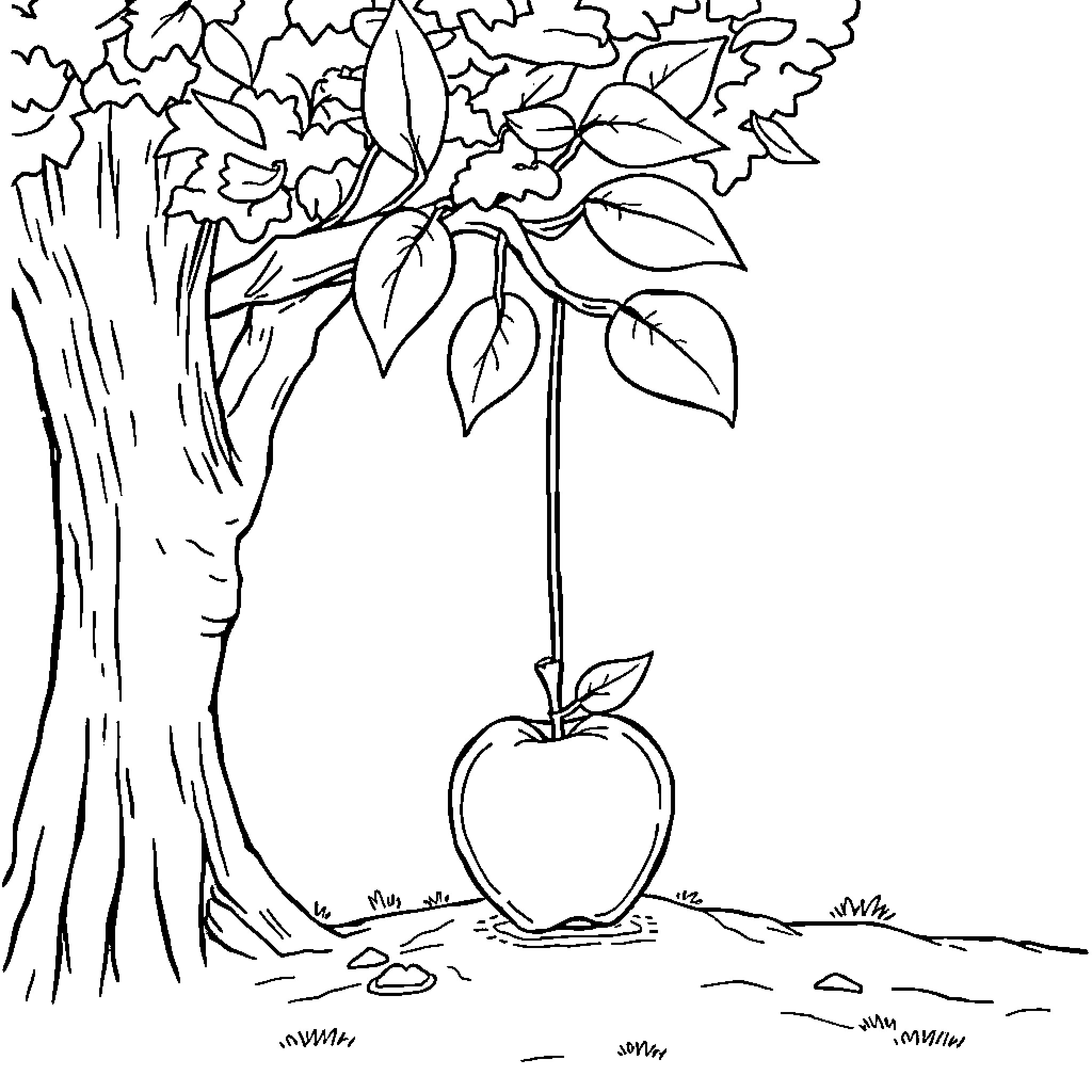 Gravity's Pull on Fallen Fruit Coloring Page (free black-and-white line drawing printable PDF for all, from beginners to advanced learners, including children, teens, adults, and seniors)