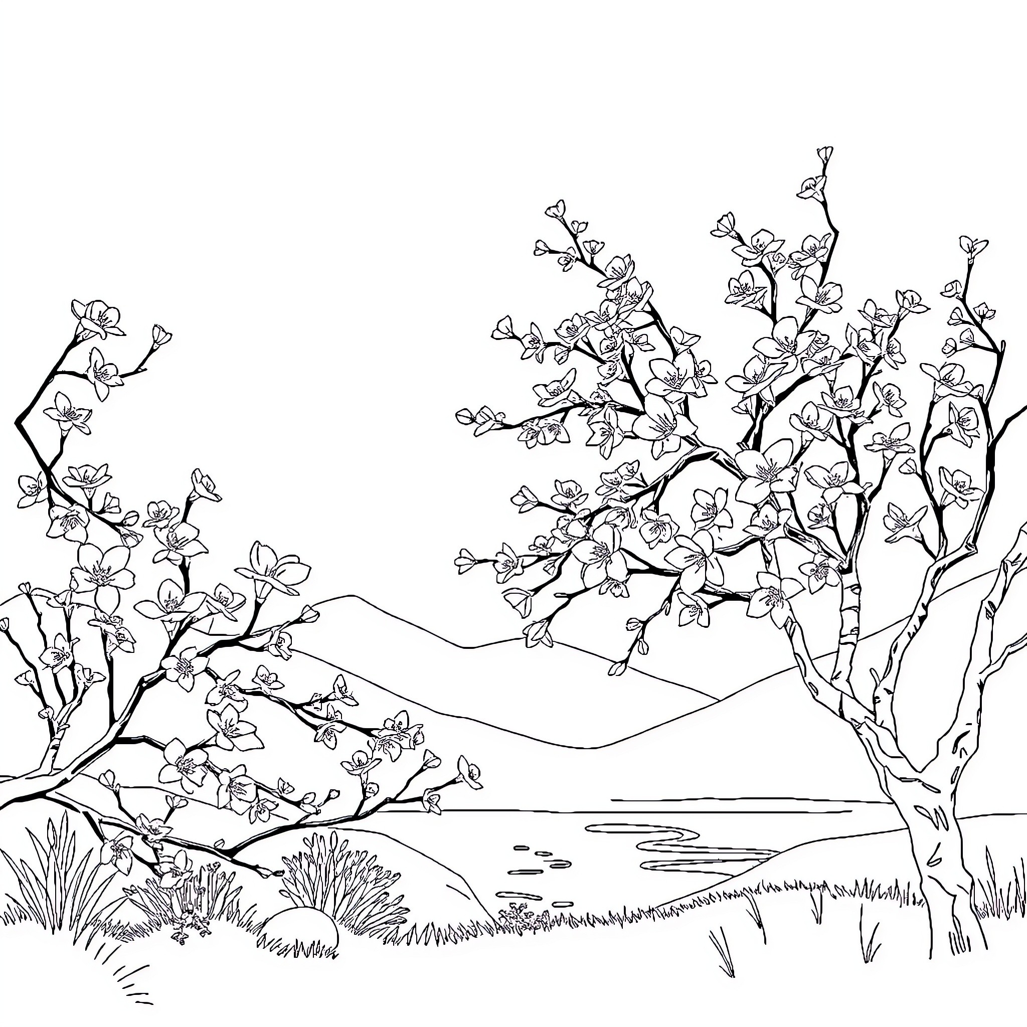 Peach Blossom Landscape with Flowering Trees Coloring Page (free black-and-white line drawing printable PDF for all, from beginners to advanced learners, including children, teens, adults, and seniors)