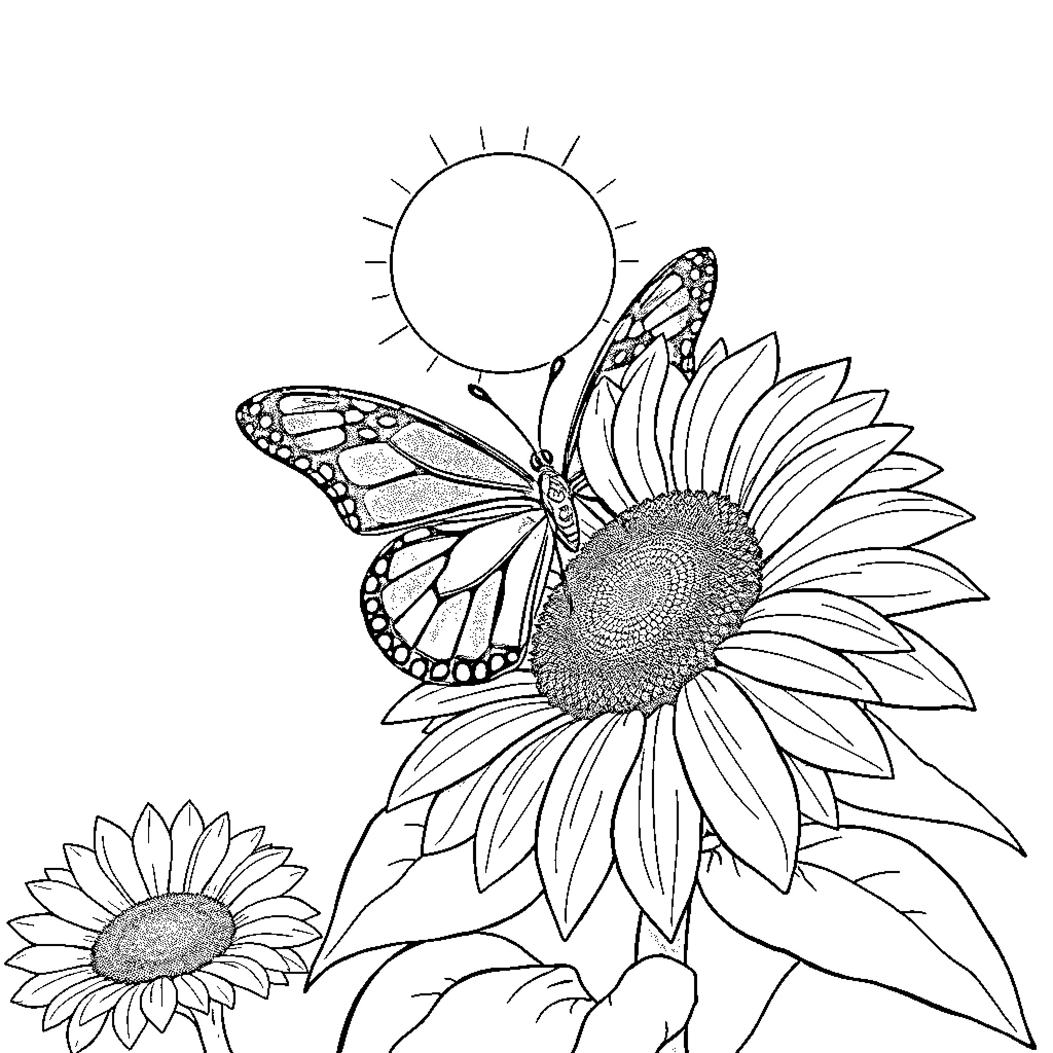 Butterfly resting on sunflower petals Coloring Page (free black-and-white line drawing printable PDF for all, from beginners to advanced learners, including children, teens, adults, and seniors)