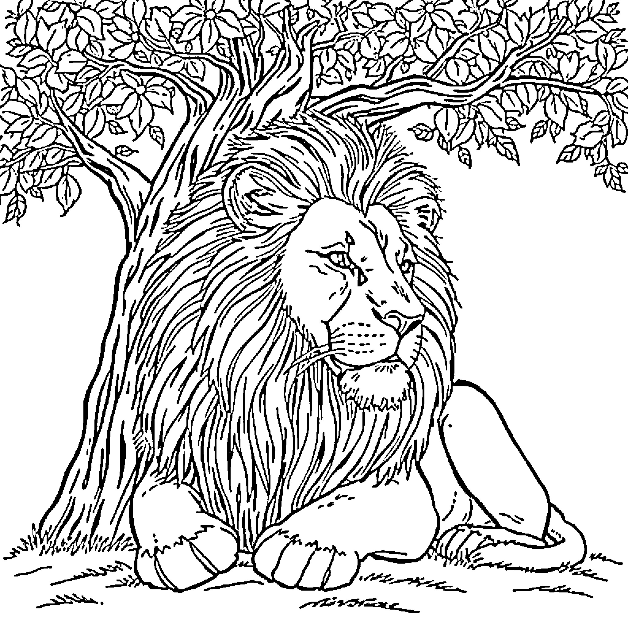 Lion resting in the wild forest Coloring Page (free black-and-white line drawing printable PDF for all, from beginners to advanced learners, including children, teens, adults, and seniors)