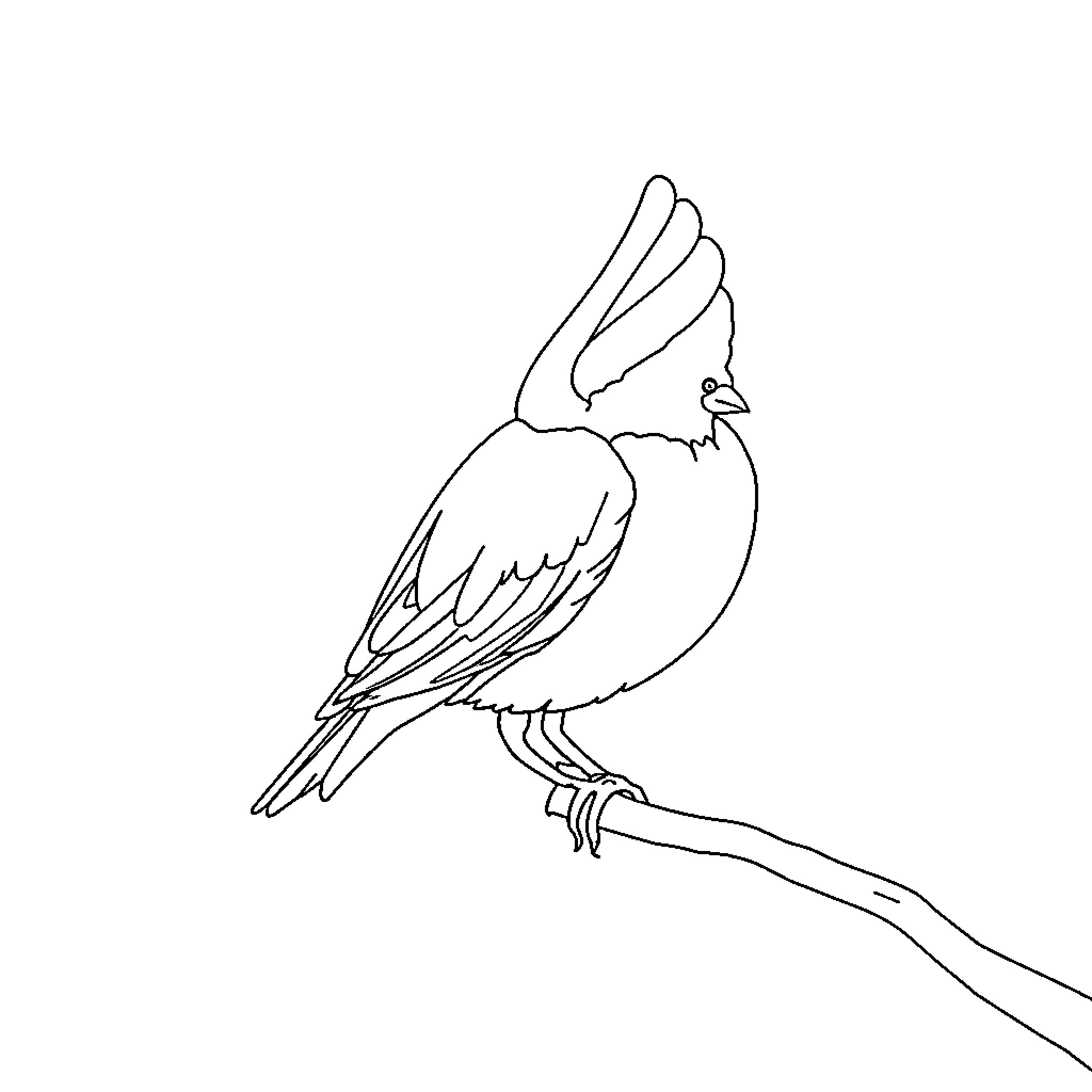 طفل طائر ذو ريش جميل Coloring Page (free black-and-white line drawing printable PDF for all, from beginners to advanced learners, including children, teens, adults, and seniors)