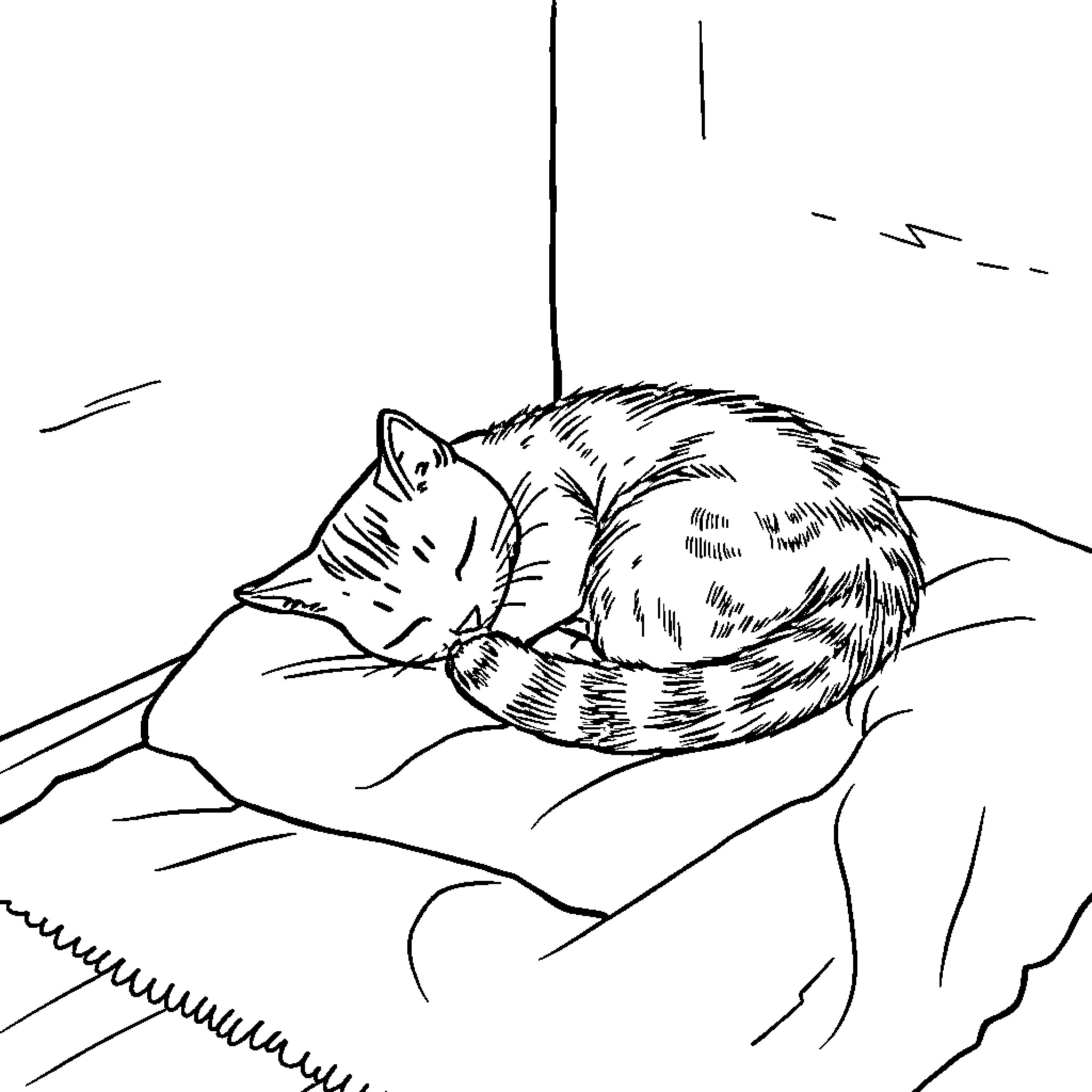 Cat sleeping peacefully on a cushion Coloring Page (free black-and-white line drawing printable PDF for all, from beginners to advanced learners, including children, teens, adults, and seniors)