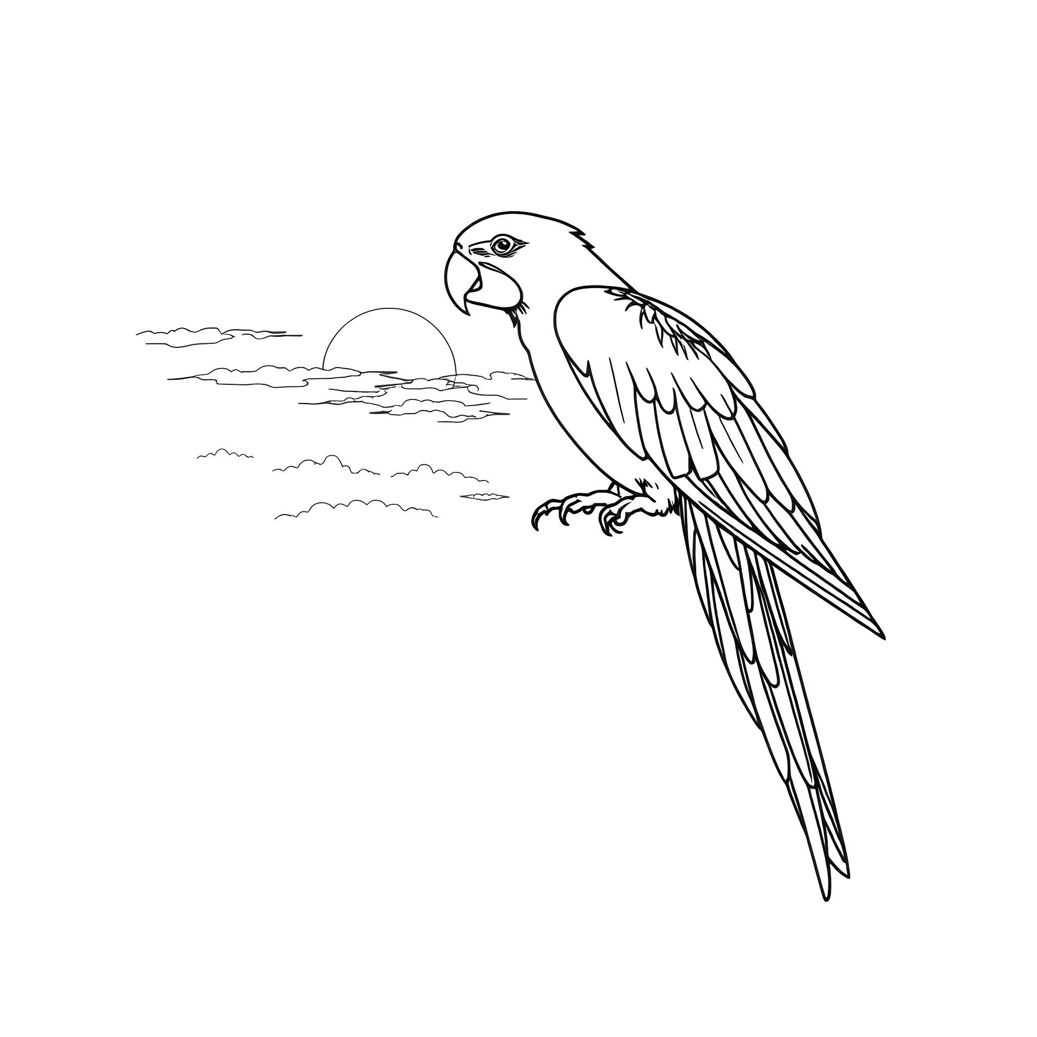 Parrot perched on branch against sunset sky Coloring Page (free black-and-white line drawing printable PDF for all, from beginners to advanced learners, including children, teens, adults, and seniors)