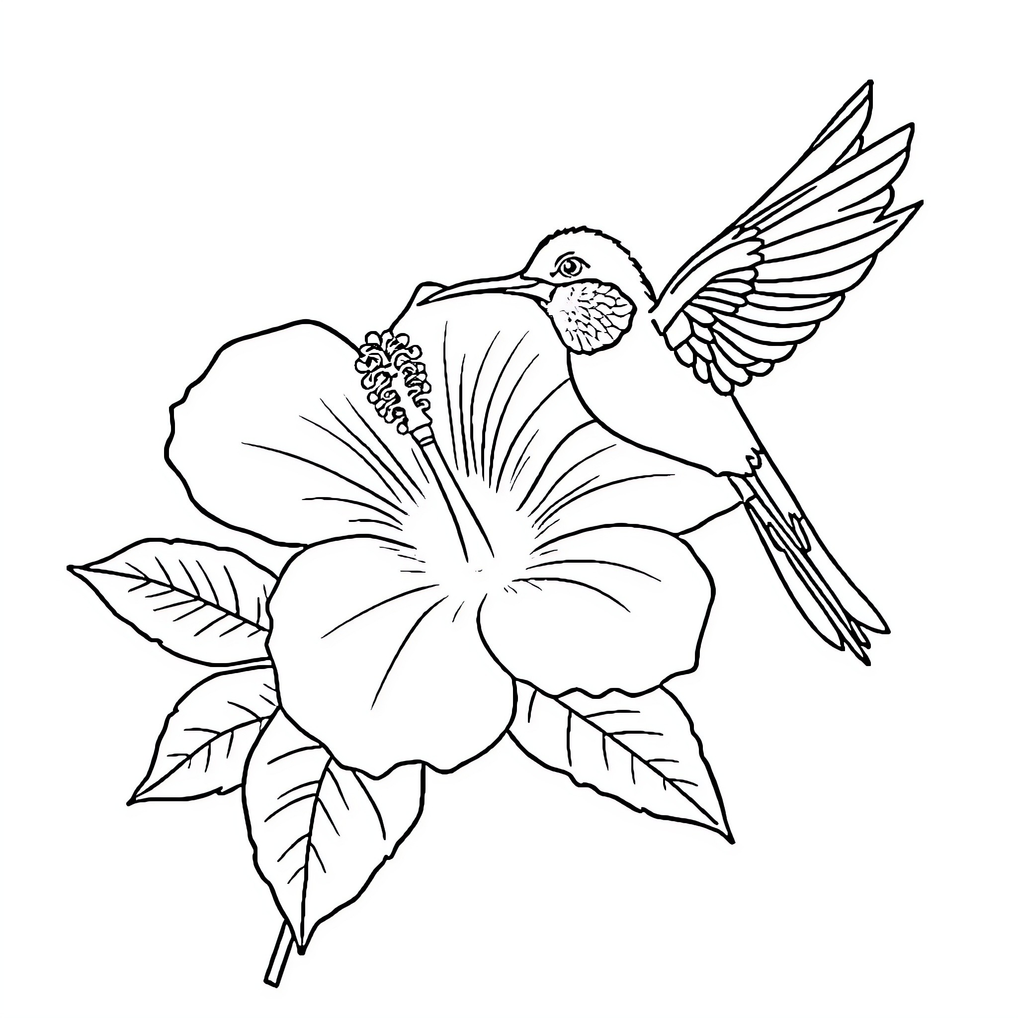 Colibri hovering near tropical flower Coloring Page (free black-and-white line drawing printable PDF for all, from beginners to advanced learners, including children, teens, adults, and seniors)