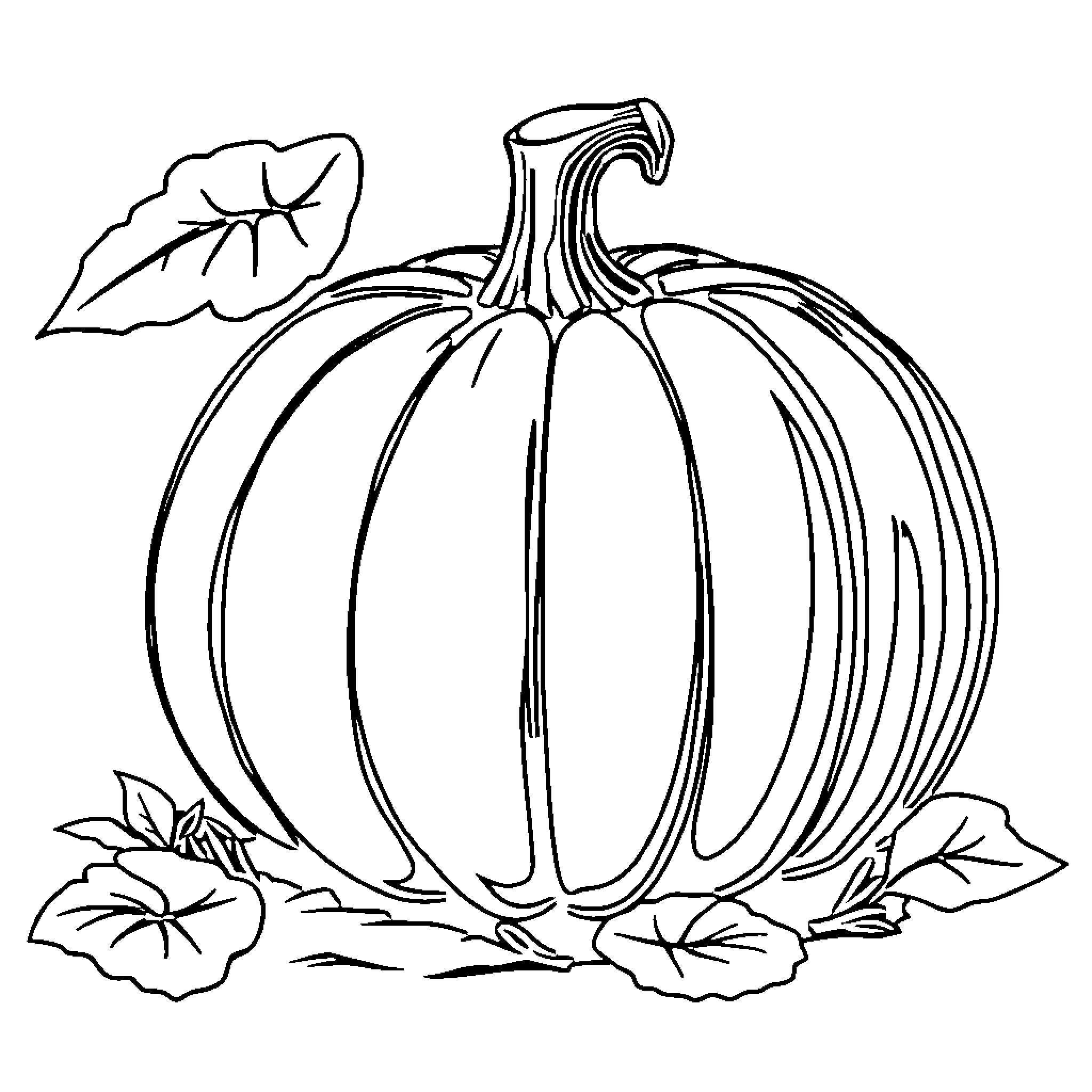 Pumpkin with leaves on a simple background Coloring Page (free black-and-white line drawing printable PDF for all, from beginners to advanced learners, including children, teens, adults, and seniors)