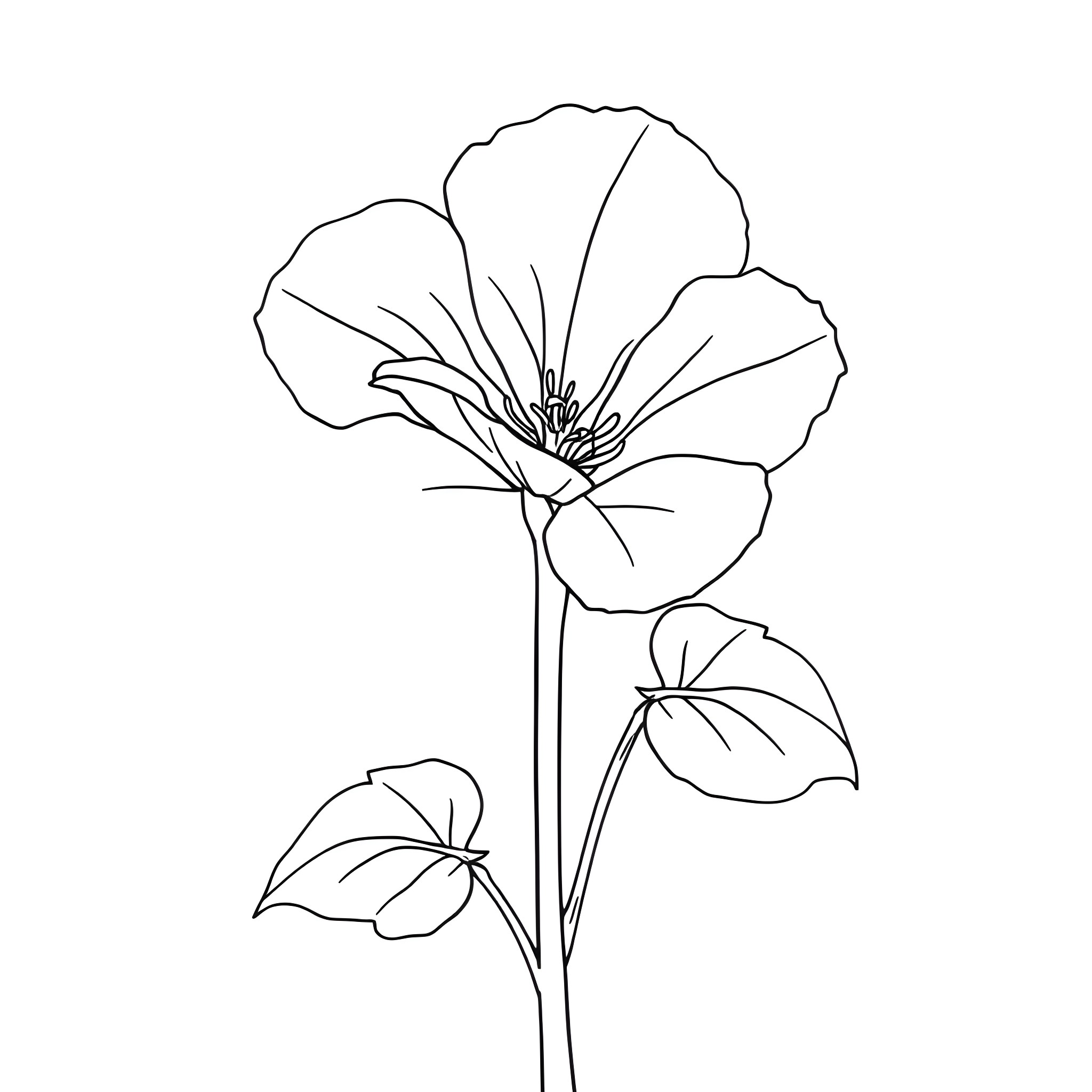 Nasturtium flower in simple outline Coloring Page (free black-and-white line drawing printable PDF for all, from beginners to advanced learners, including children, teens, adults, and seniors)