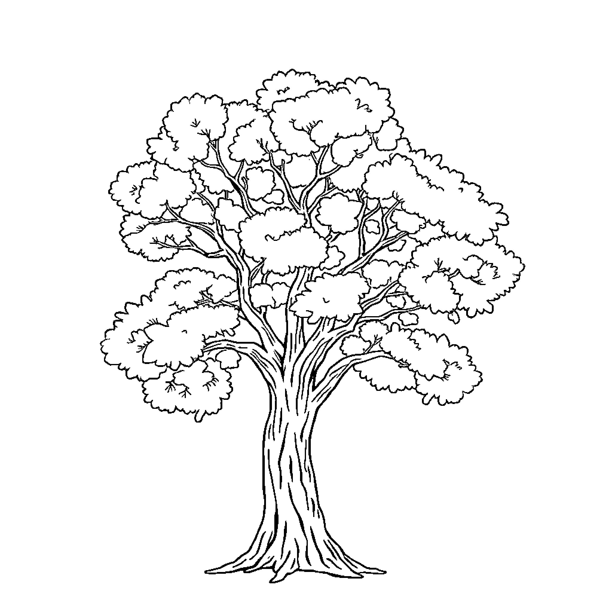 Tree with dense foliage Coloring Page (free black-and-white line drawing printable PDF for all, from beginners to advanced learners, including children, teens, adults, and seniors)
