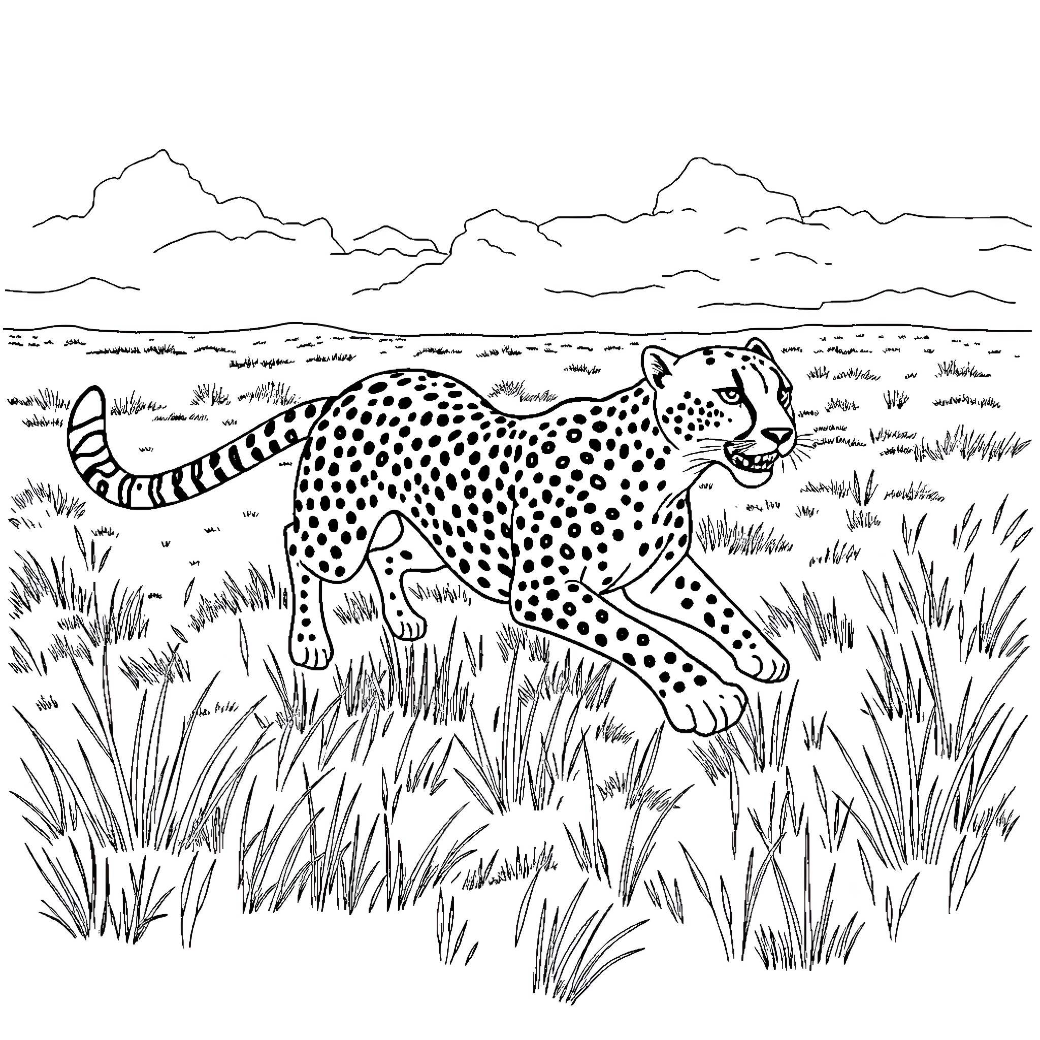 Cheetah running through the savanna Coloring Page (free black-and-white line drawing printable PDF for all, from beginners to advanced learners, including children, teens, adults, and seniors)